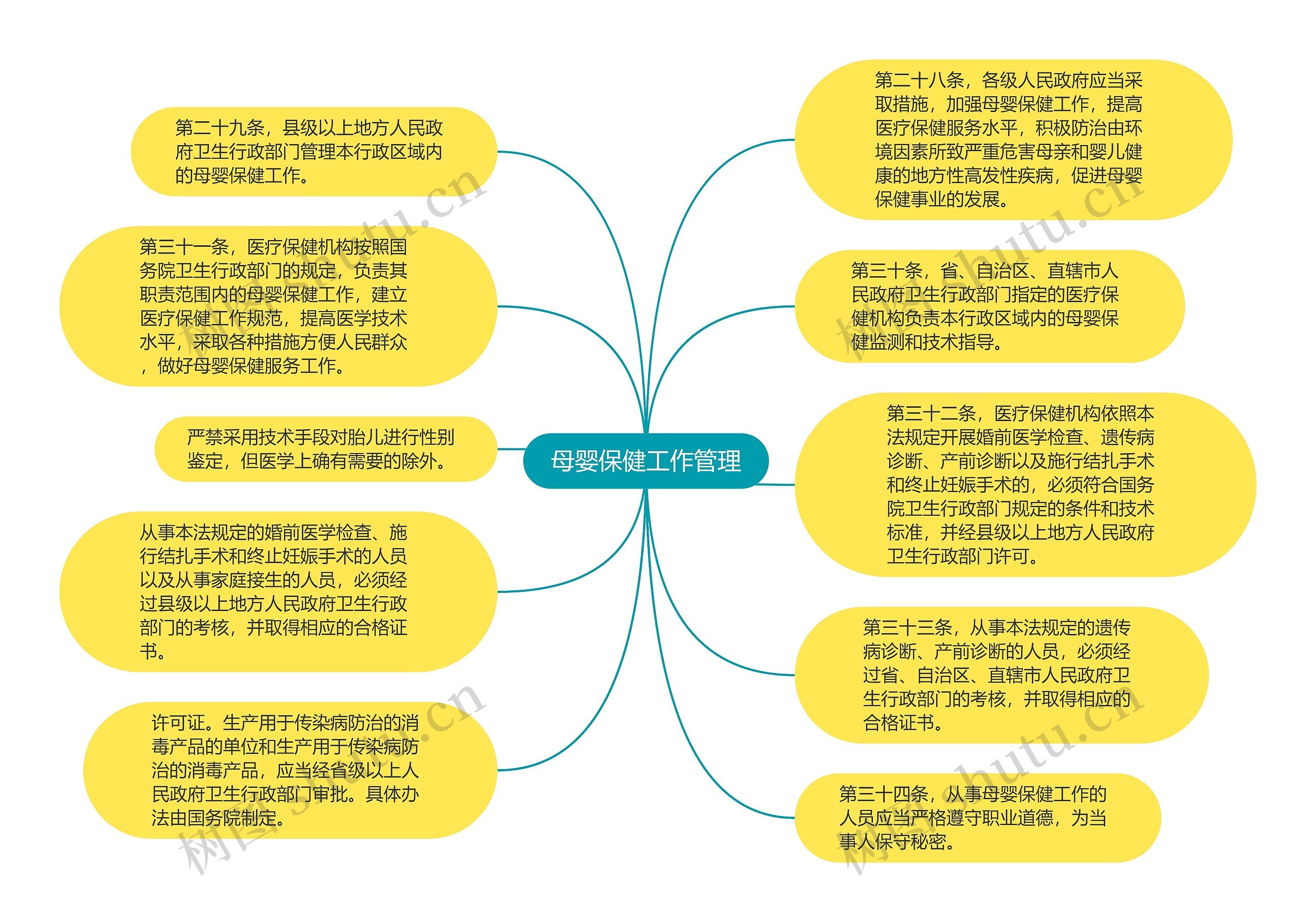 母婴保健工作管理思维导图