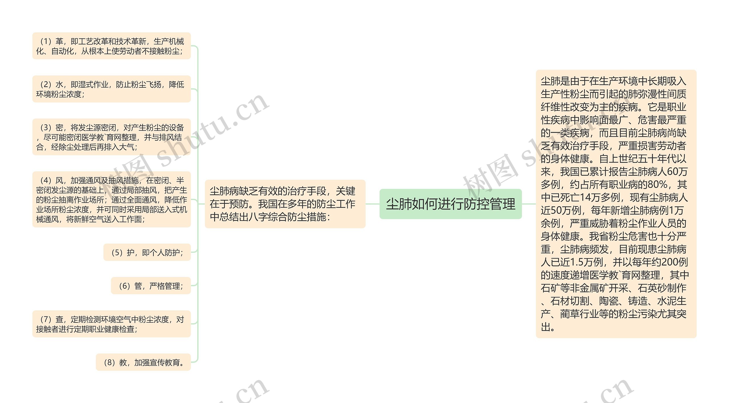 尘肺如何进行防控管理思维导图