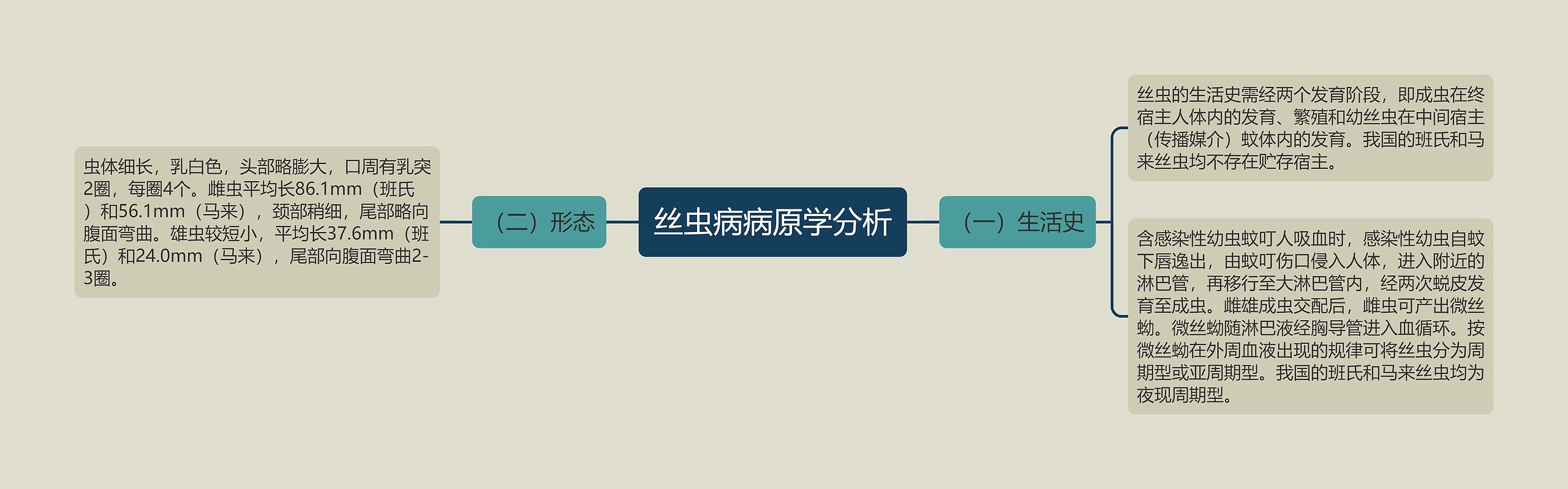 丝虫病病原学分析思维导图