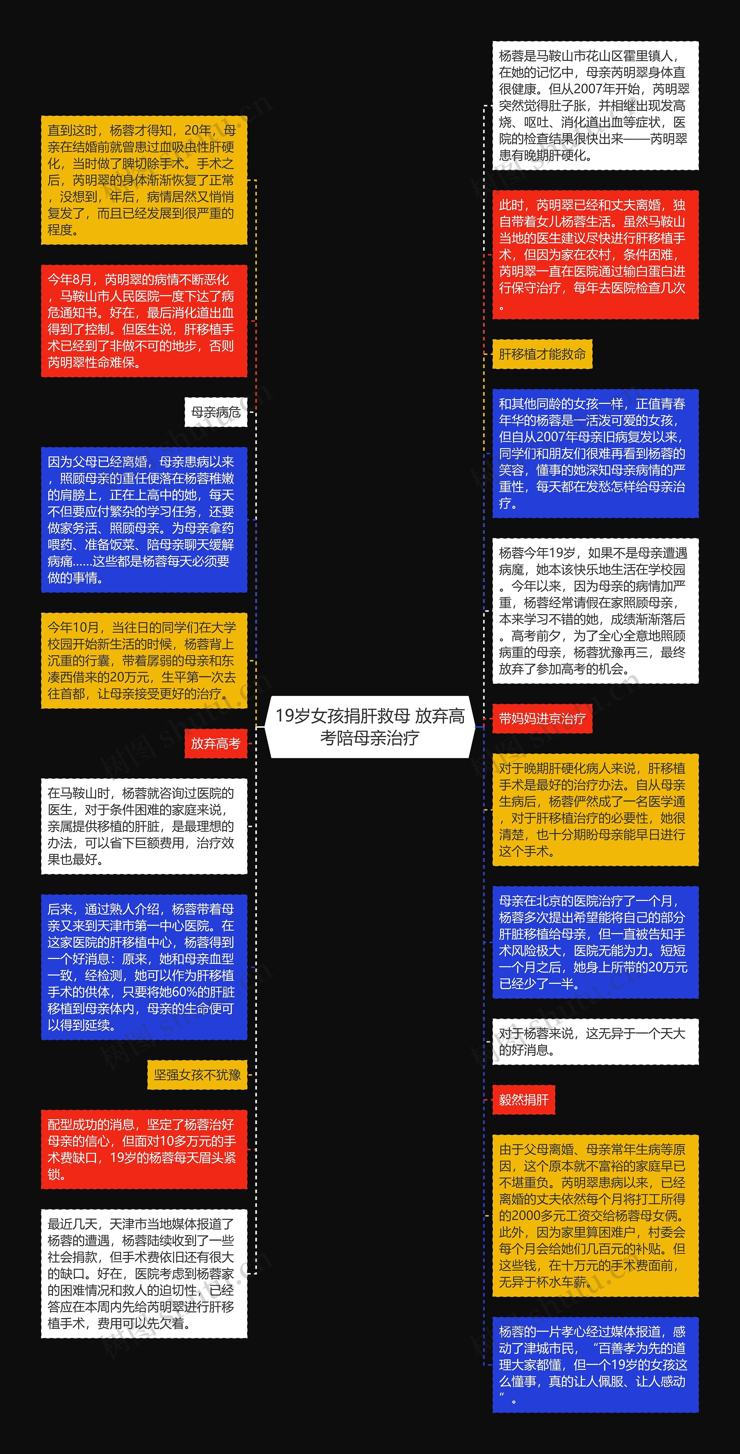19岁女孩捐肝救母 放弃高考陪母亲治疗