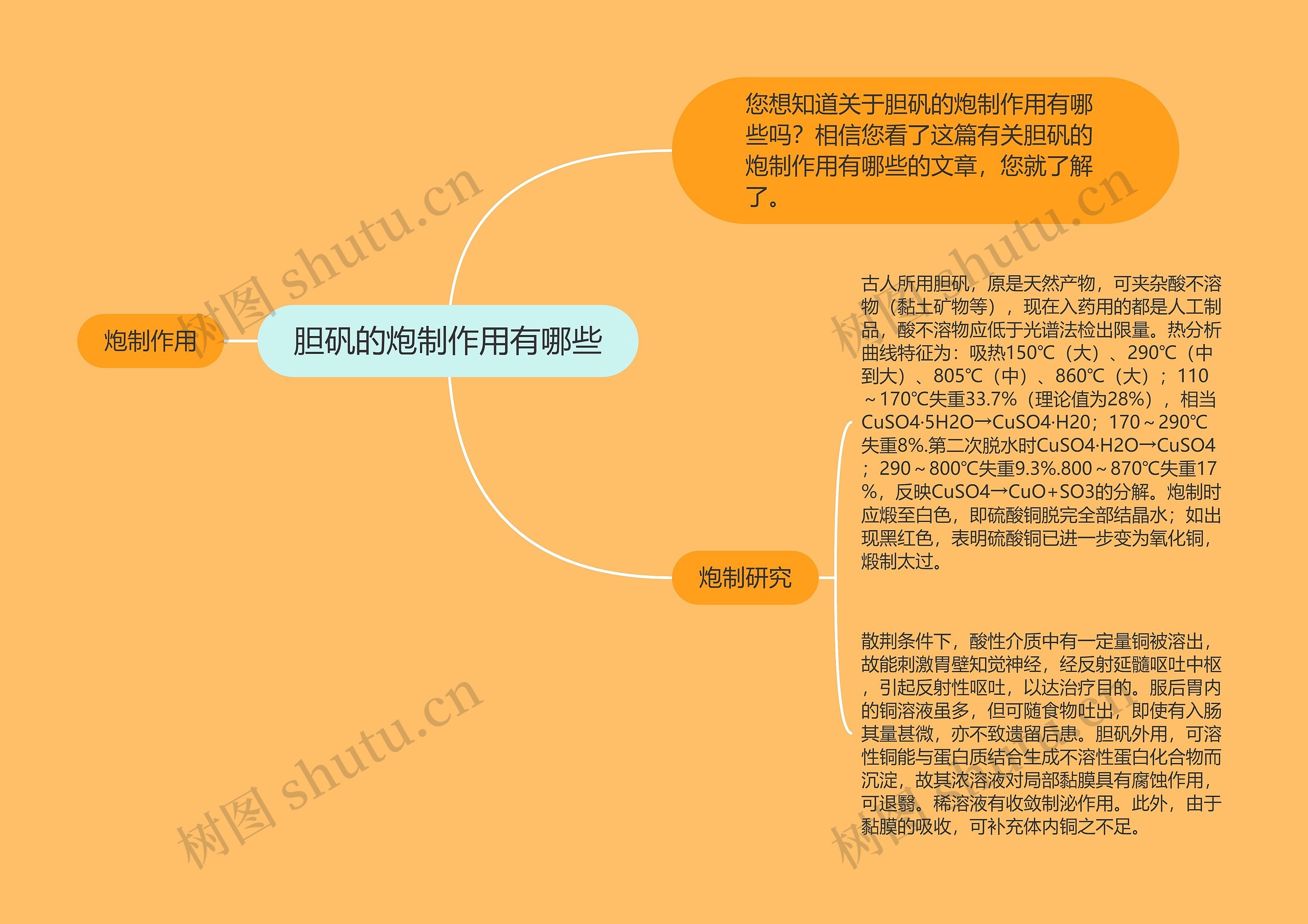 胆矾的炮制作用有哪些思维导图