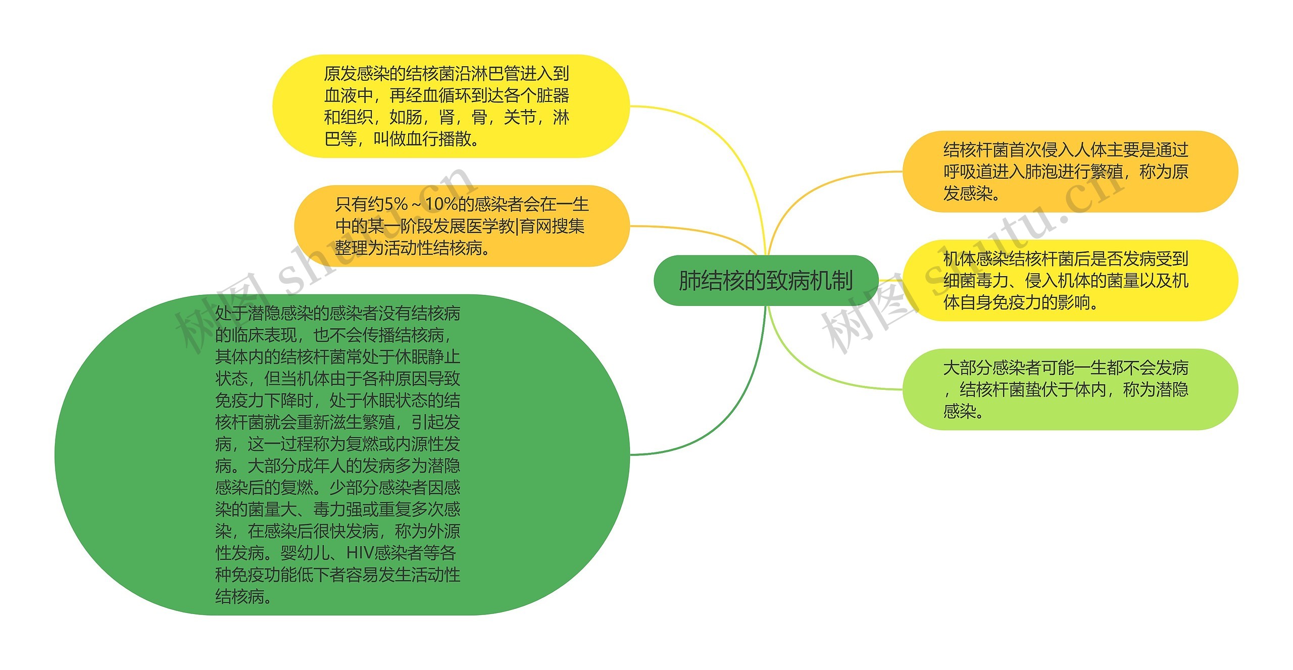 肺结核的致病机制思维导图