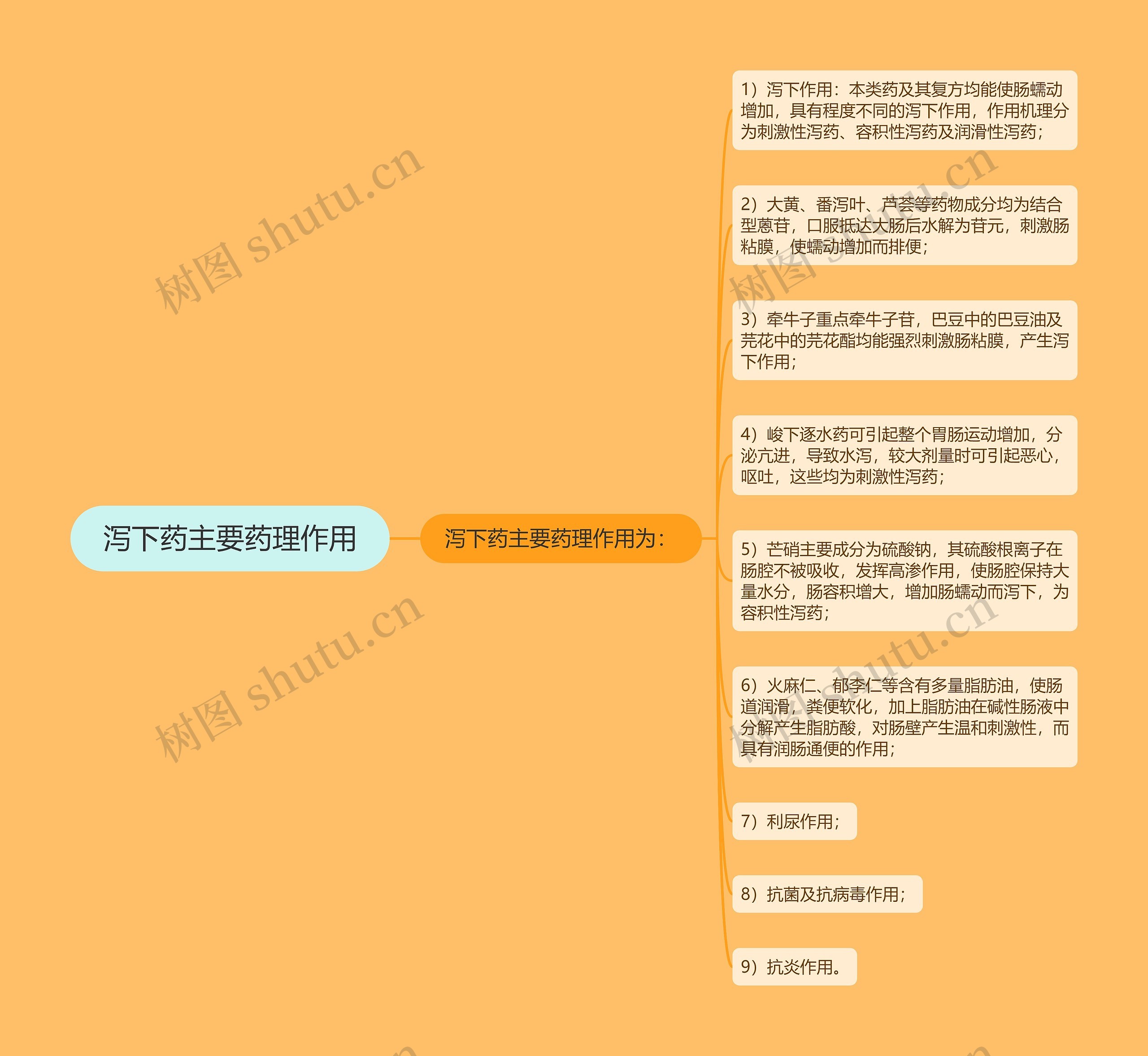 泻下药主要药理作用思维导图