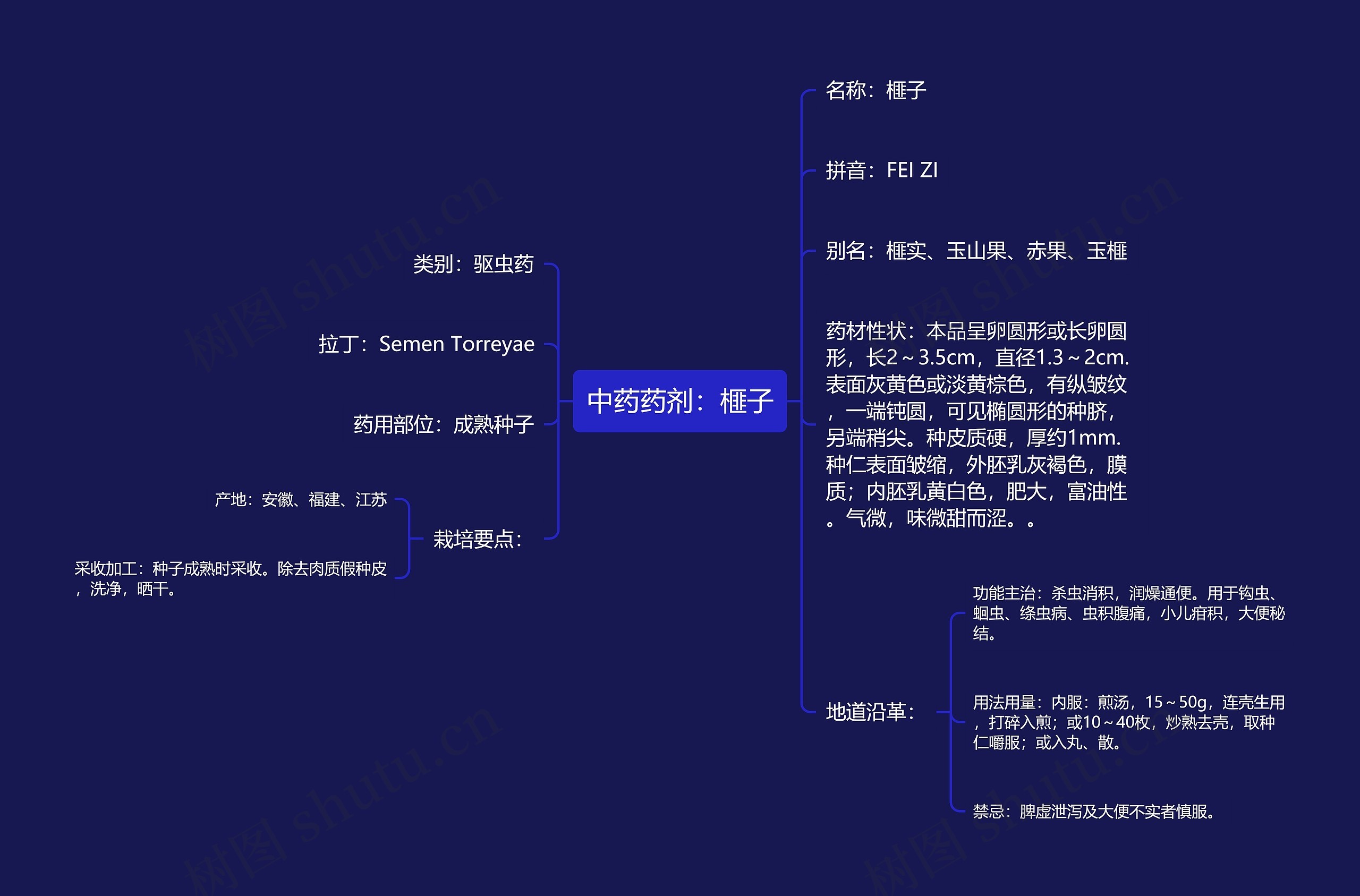 中药药剂：榧子思维导图