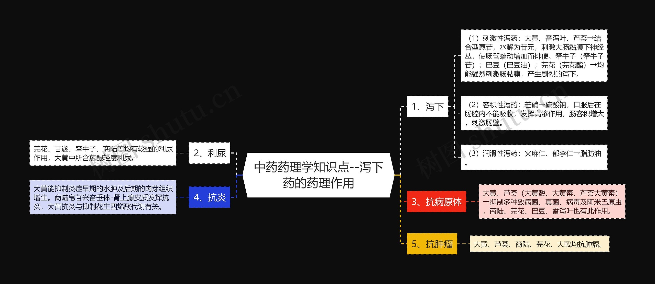 中药药理学知识点--泻下药的药理作用思维导图