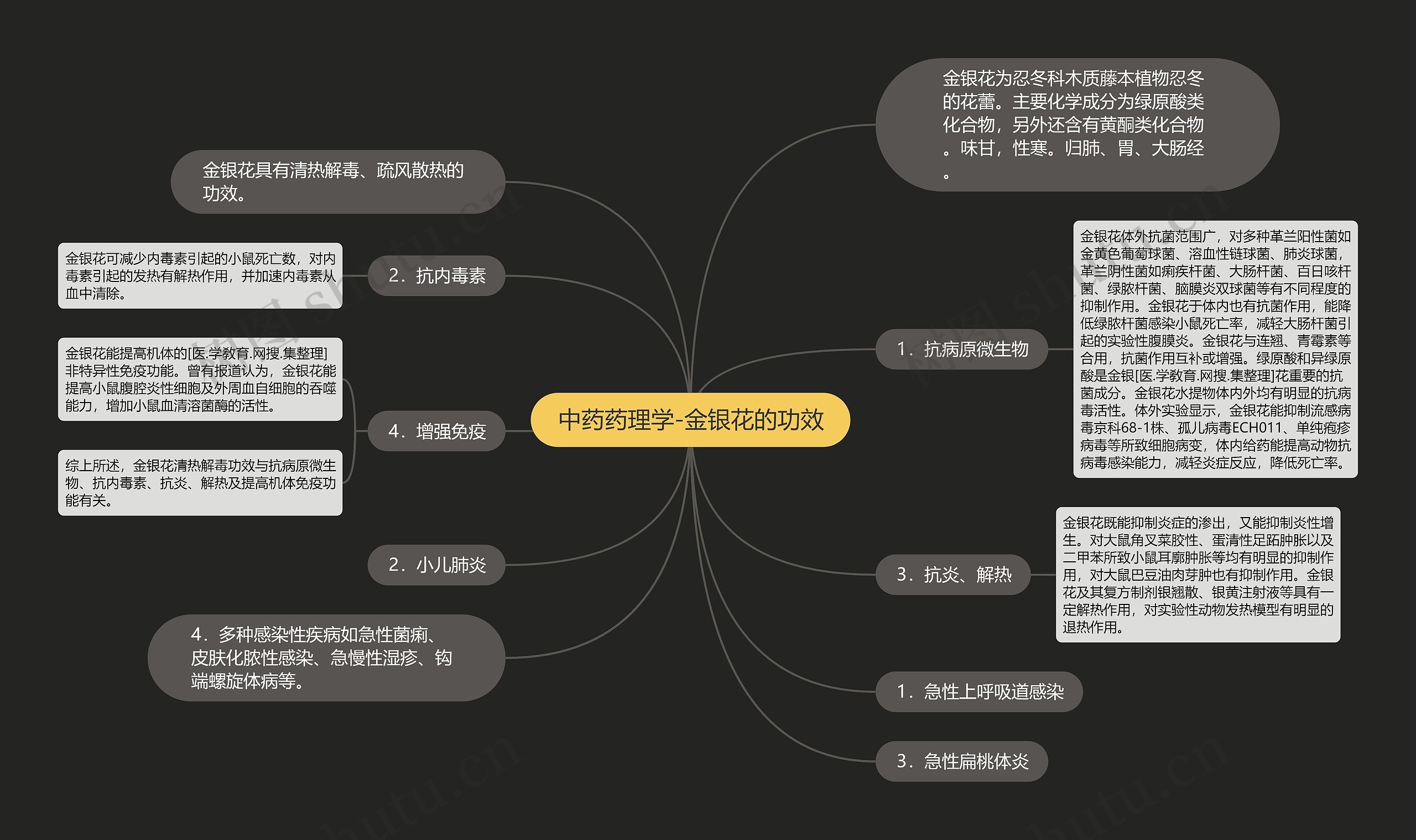 中药药理学-金银花的功效思维导图