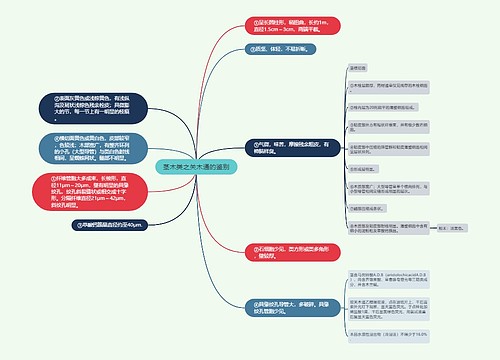 茎木类之关木通的鉴别思维导图