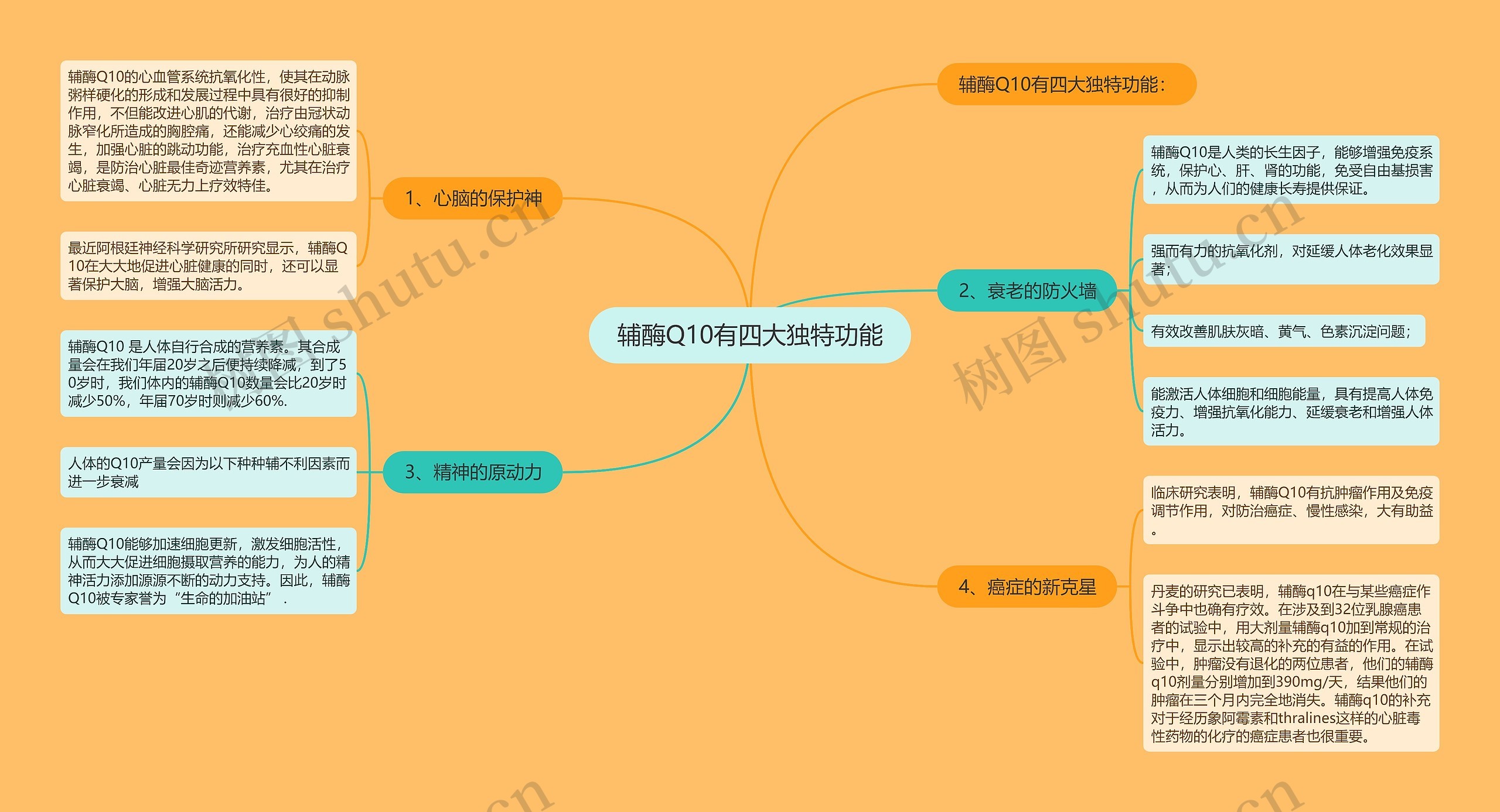 辅酶Q10有四大独特功能思维导图