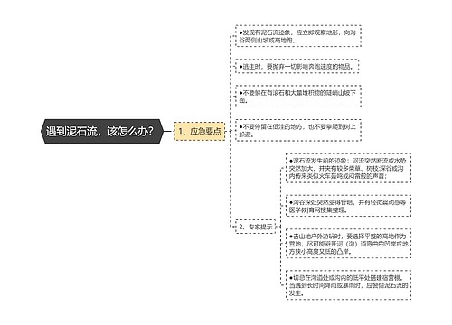 遇到泥石流，该怎么办？