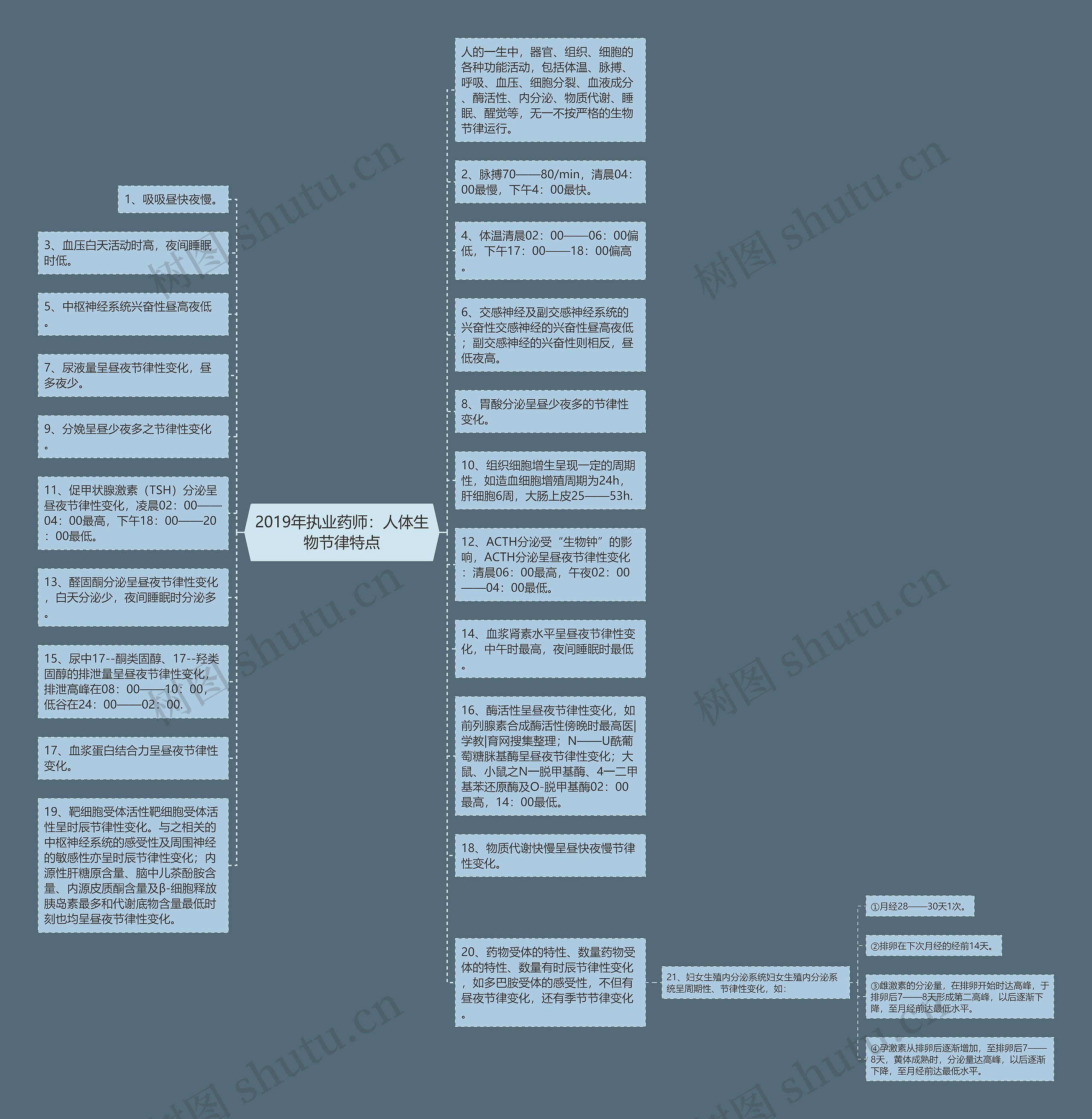 2019年执业药师：人体生物节律特点思维导图
