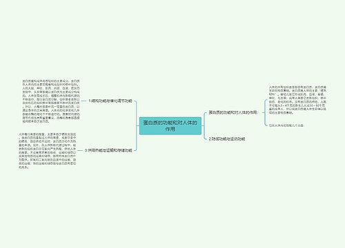 蛋白质的功能和对人体的作用