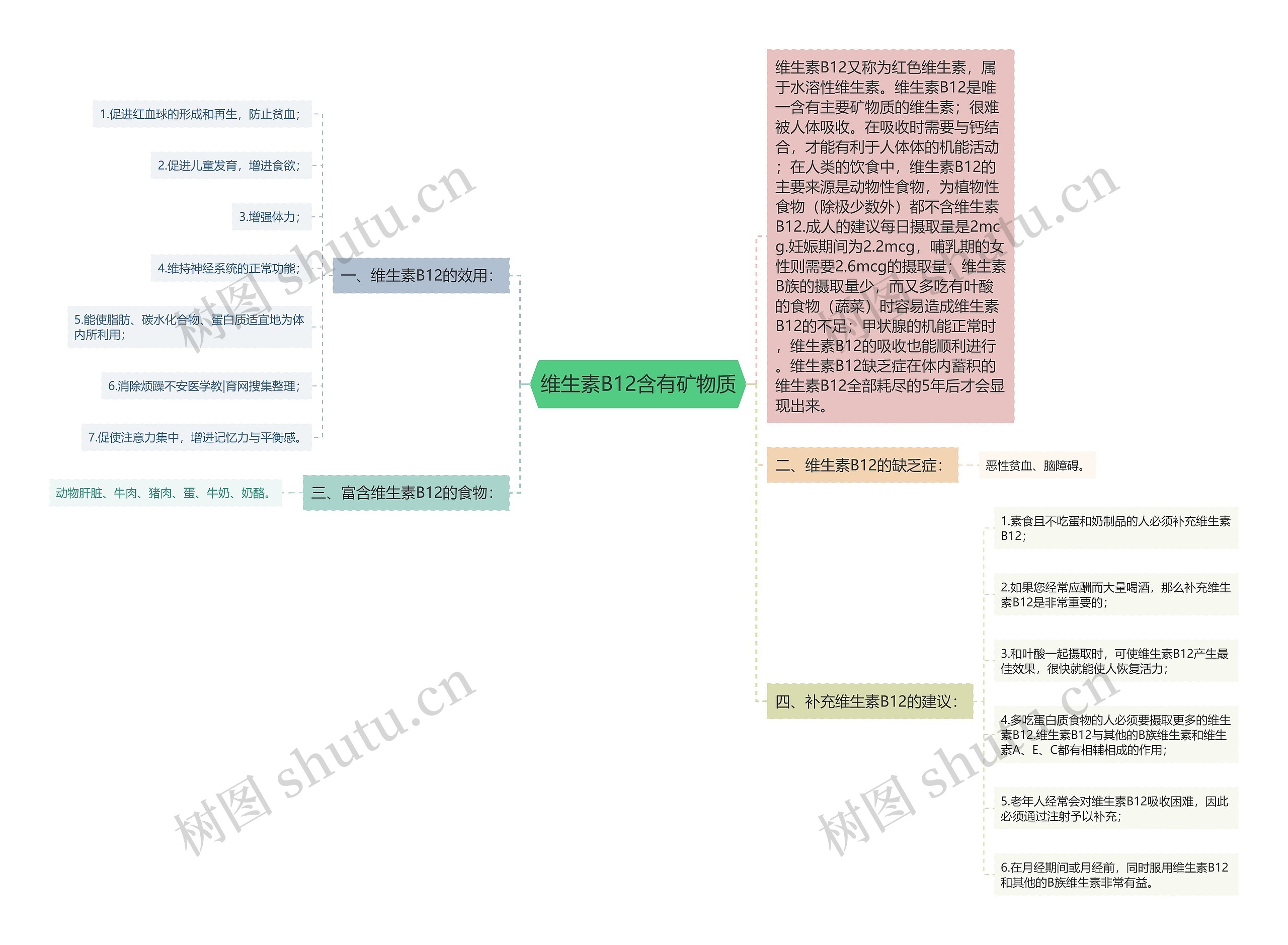 维生素B12含有矿物质思维导图