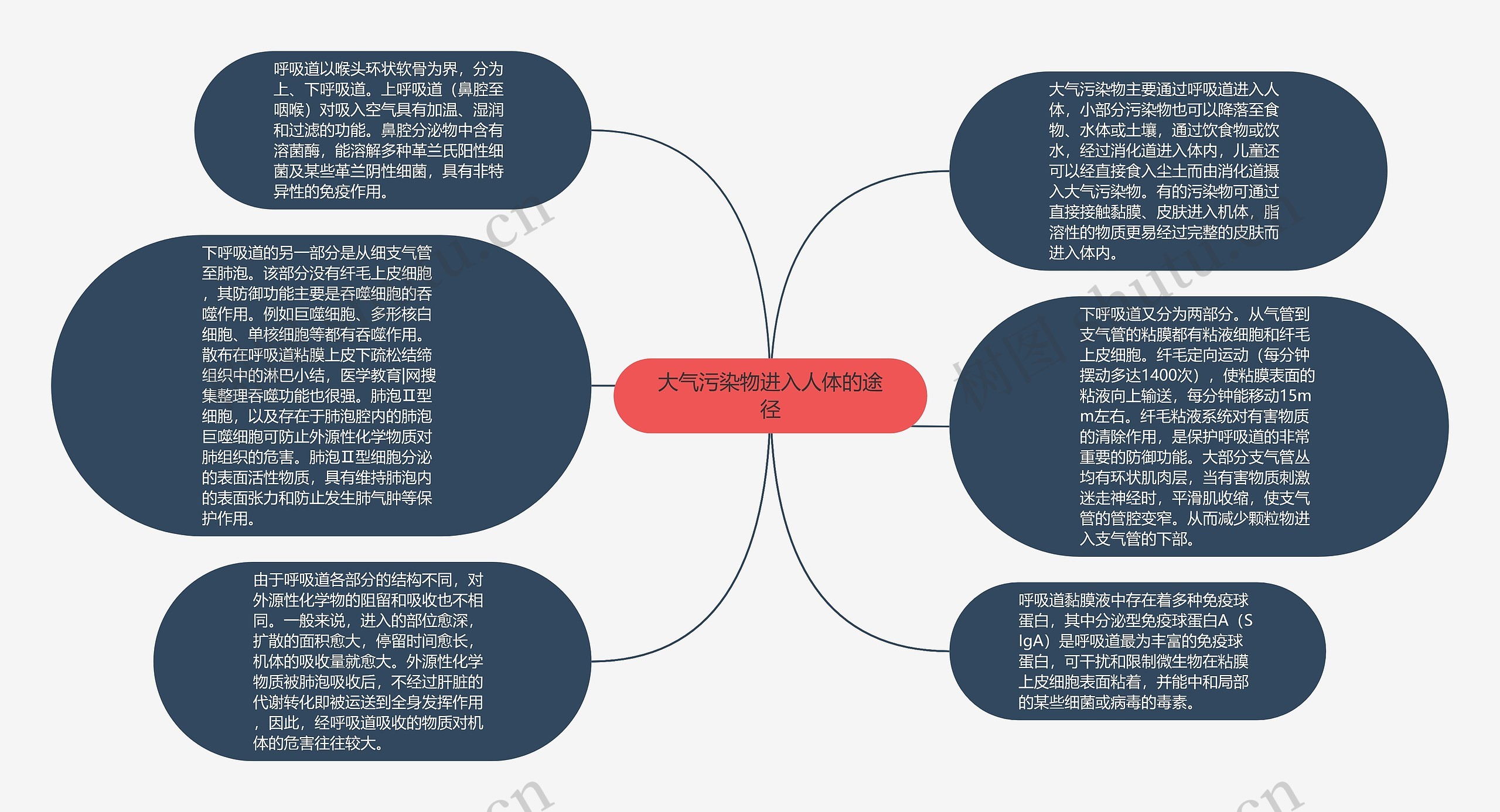 大气污染物进入人体的途径