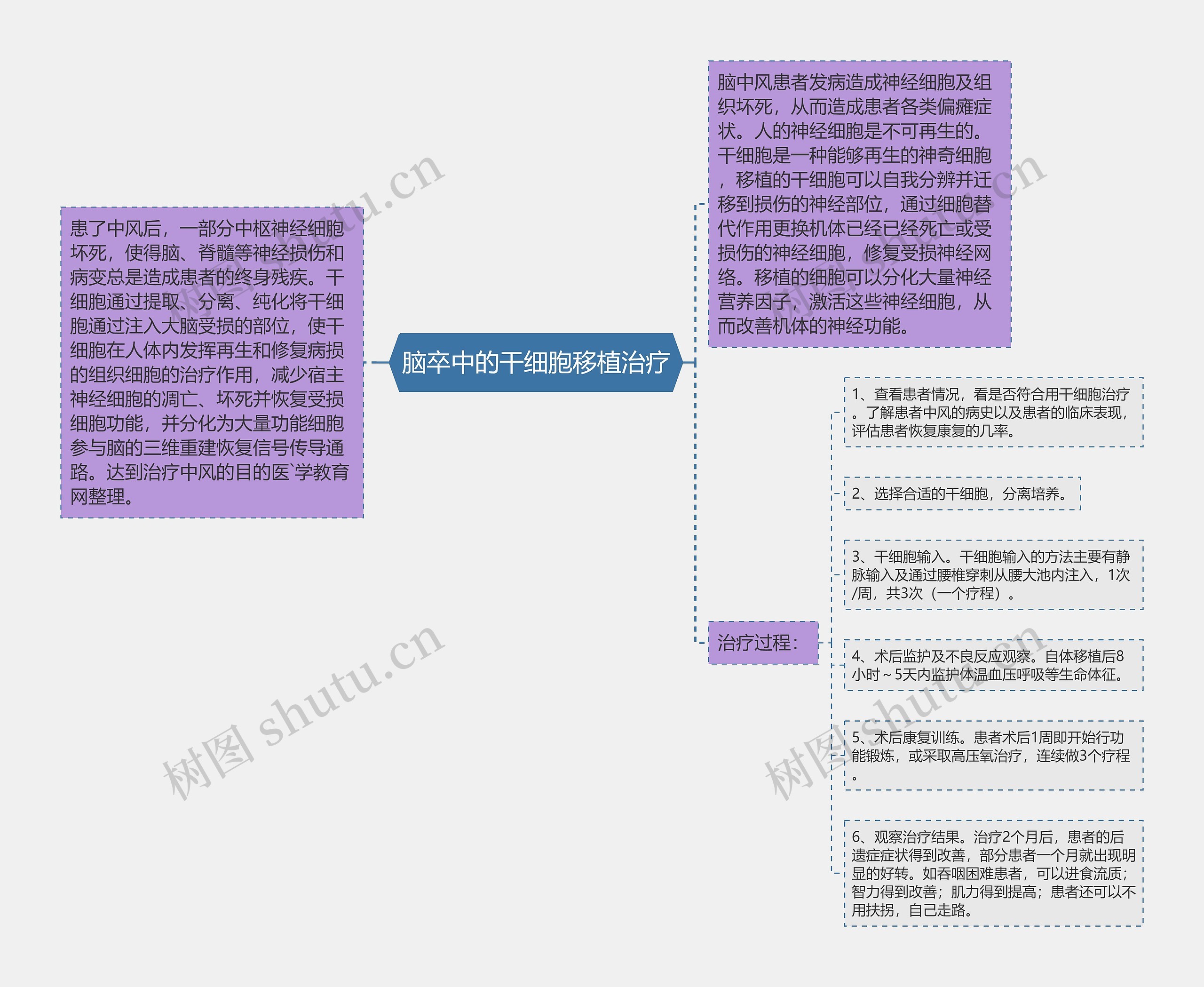 脑卒中的干细胞移植治疗思维导图