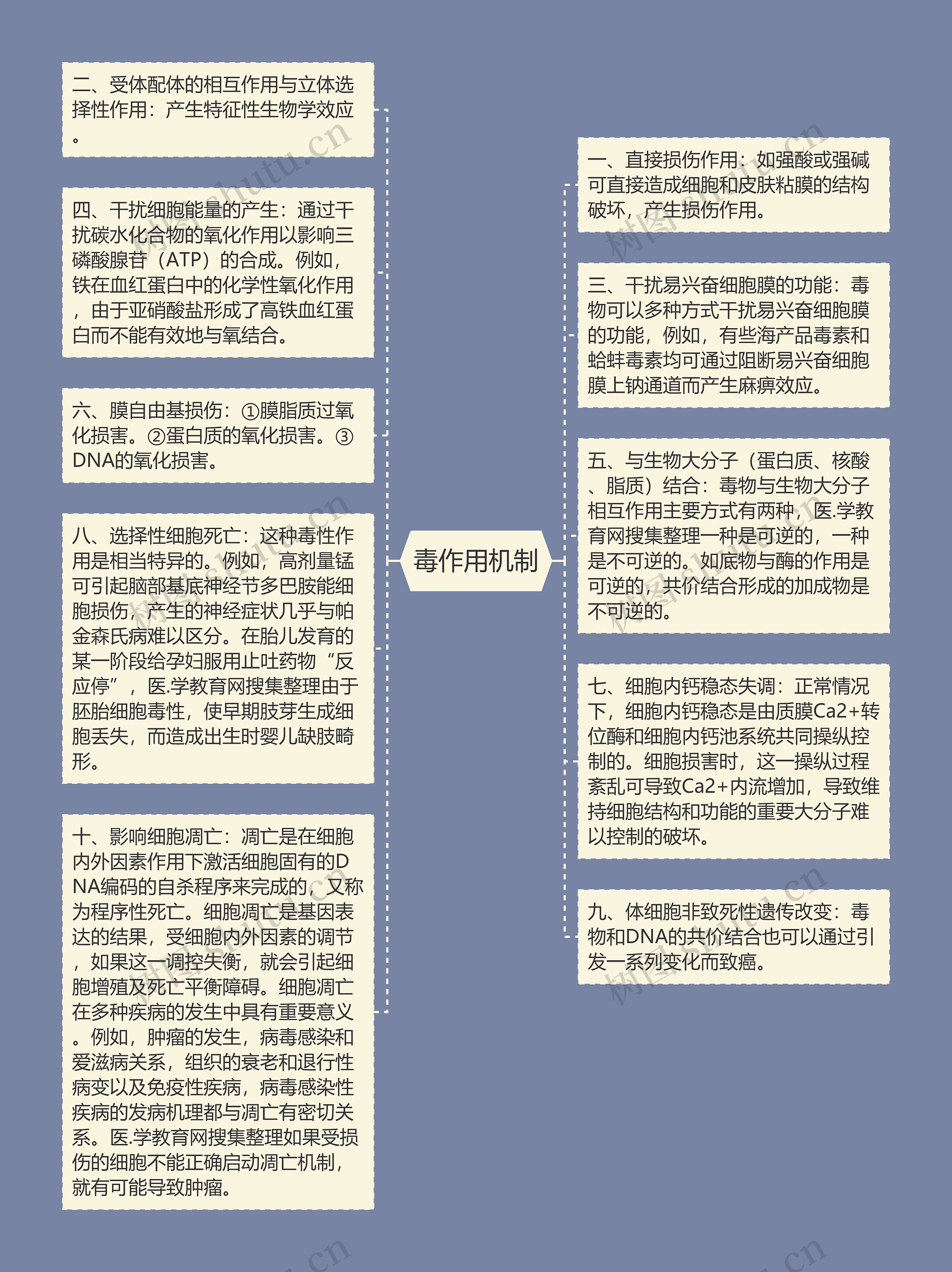 毒作用机制思维导图