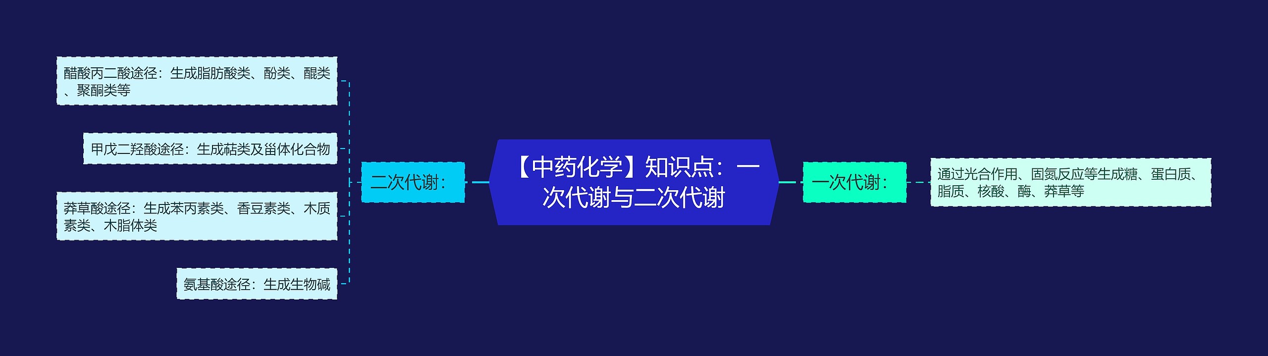 【中药化学】知识点：一次代谢与二次代谢