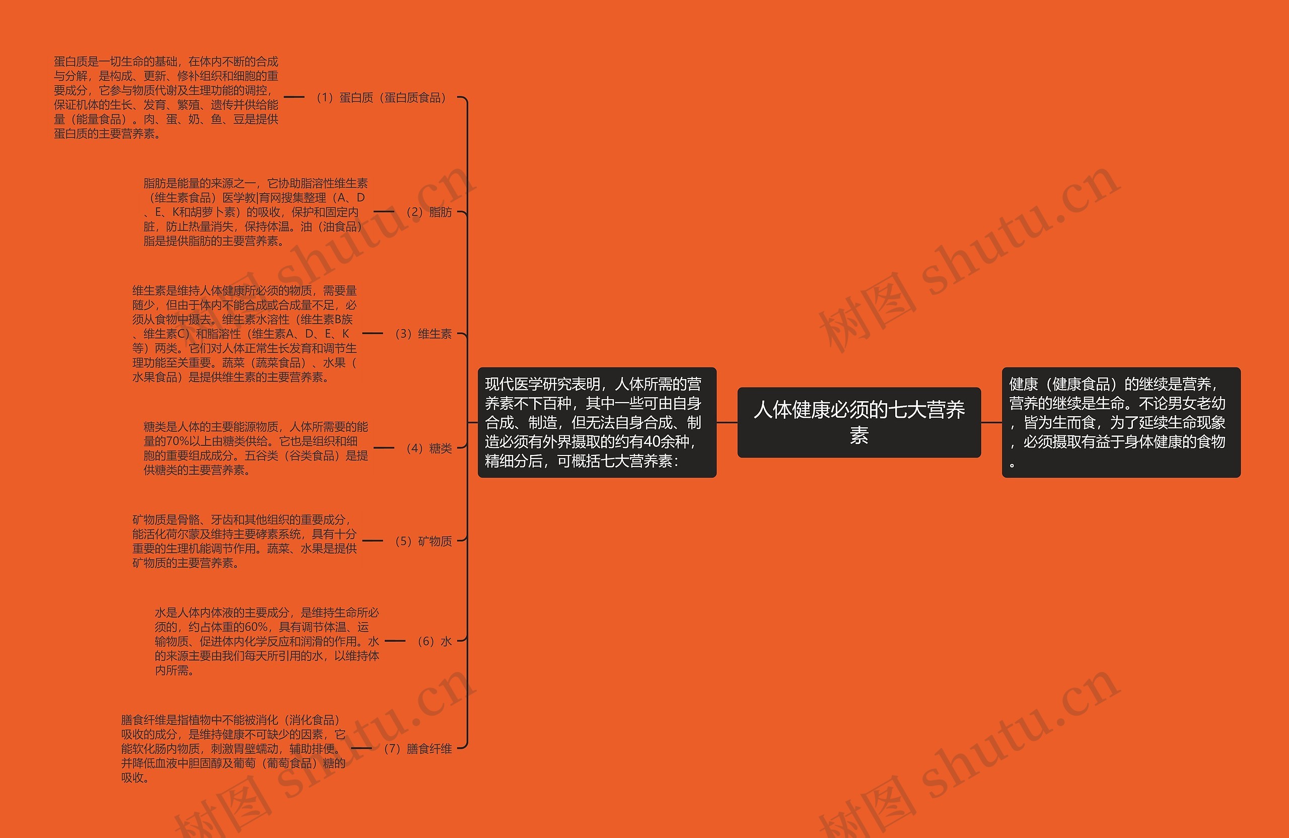 人体健康必须的七大营养素思维导图