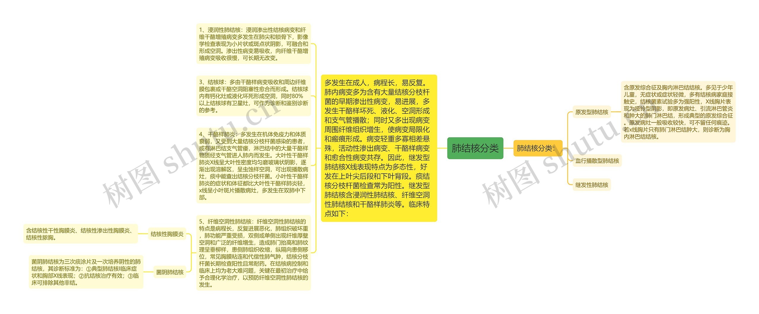 肺结核分类思维导图