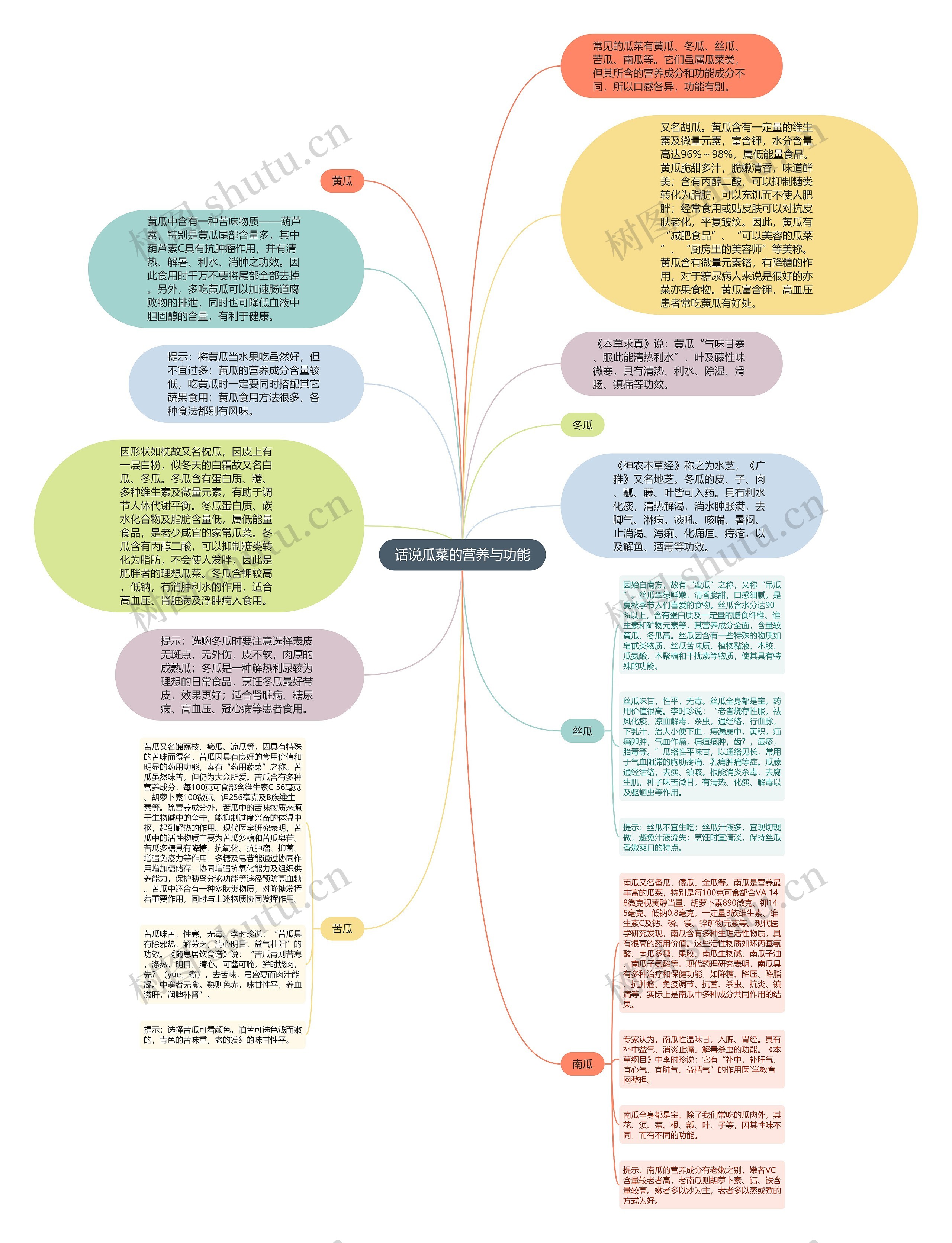 话说瓜菜的营养与功能思维导图