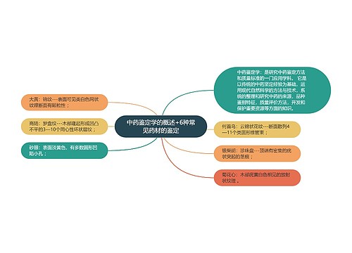 中药鉴定学的概述+6种常见药材的鉴定