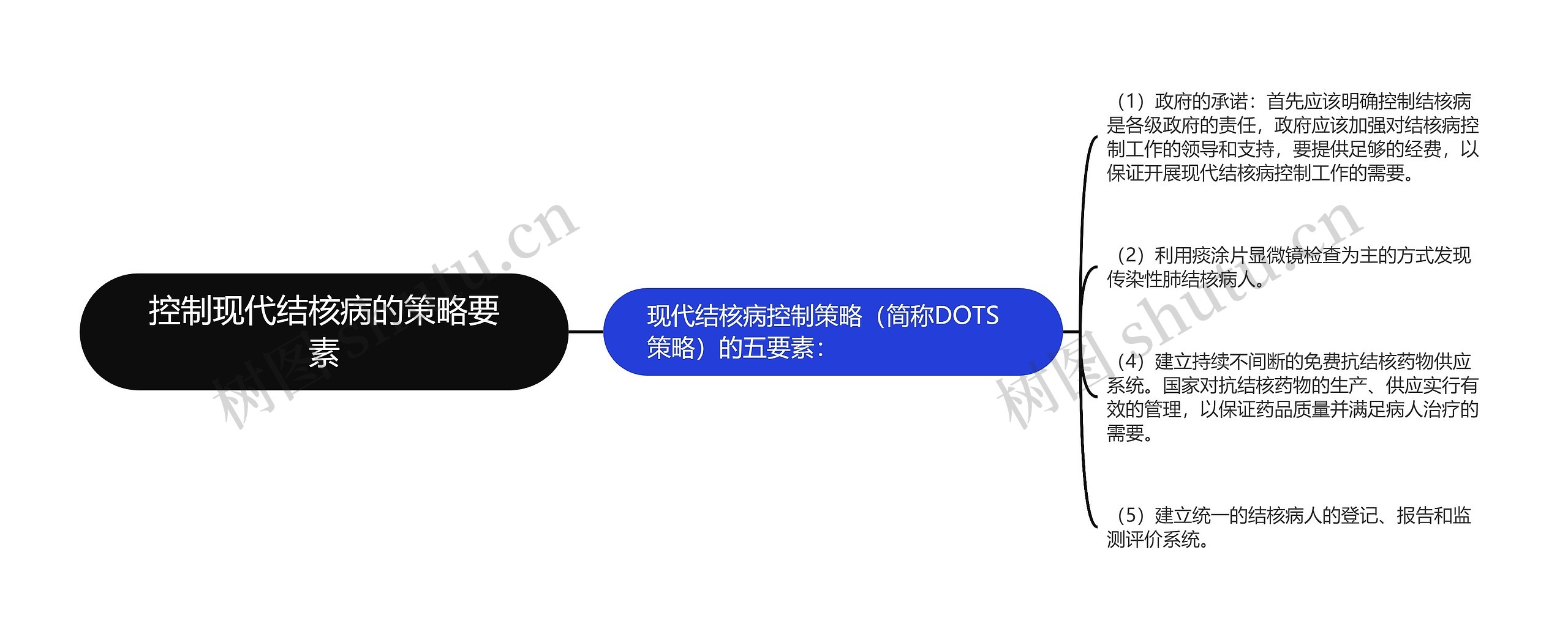 控制现代结核病的策略要素思维导图