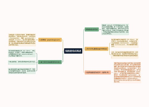 细胞壁组成概述