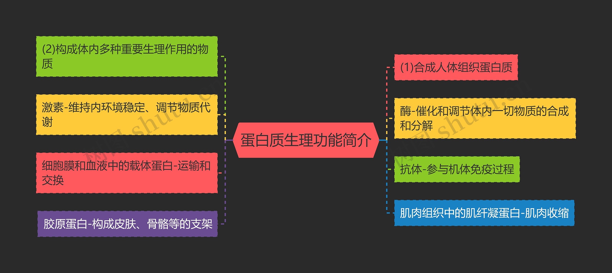 蛋白质生理功能简介 蛋白质生理功能简介