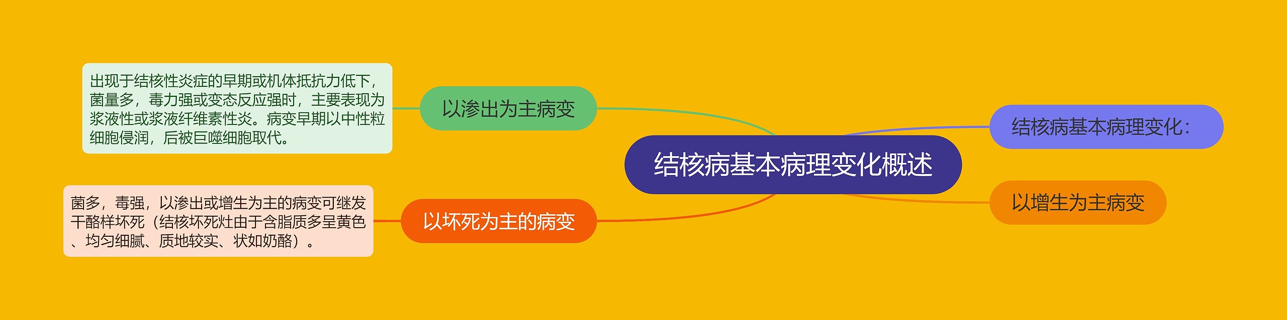 结核病基本病理变化概述