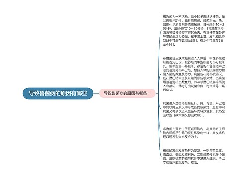 导致鲁菌病的原因有哪些