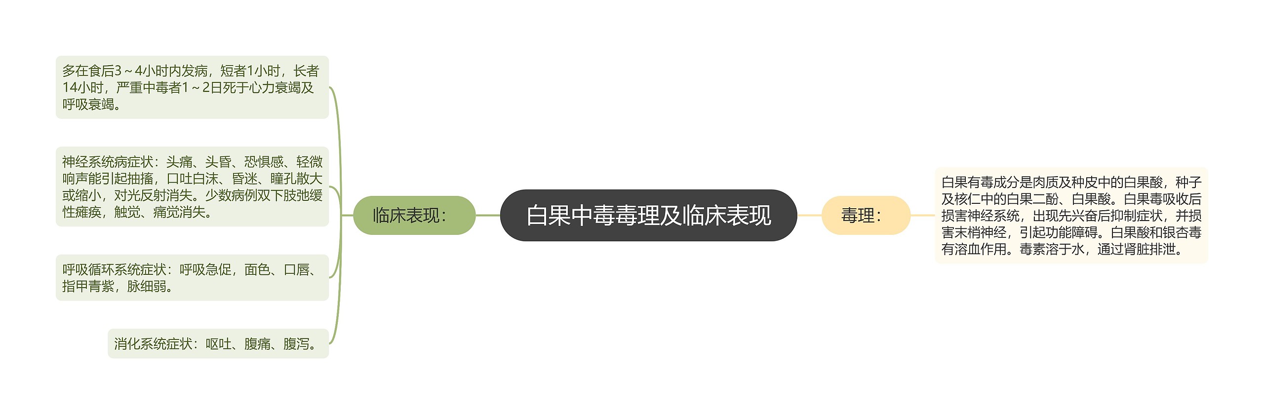 白果中毒毒理及临床表现 白果中毒毒理及临床表现