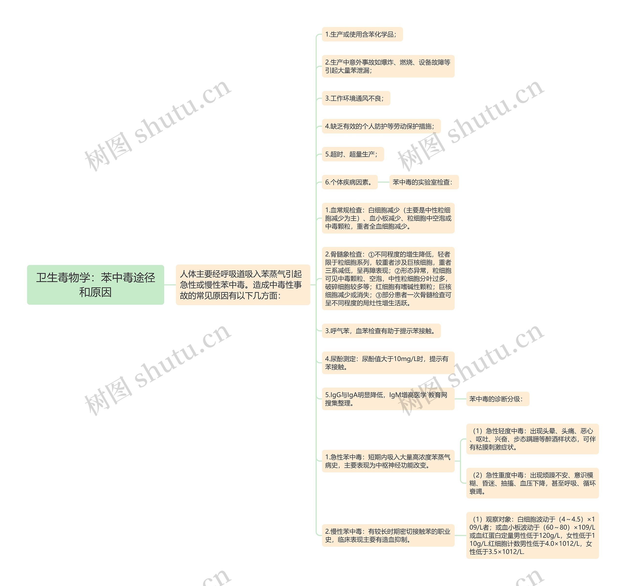 卫生毒物学：苯中毒途径和原因思维导图