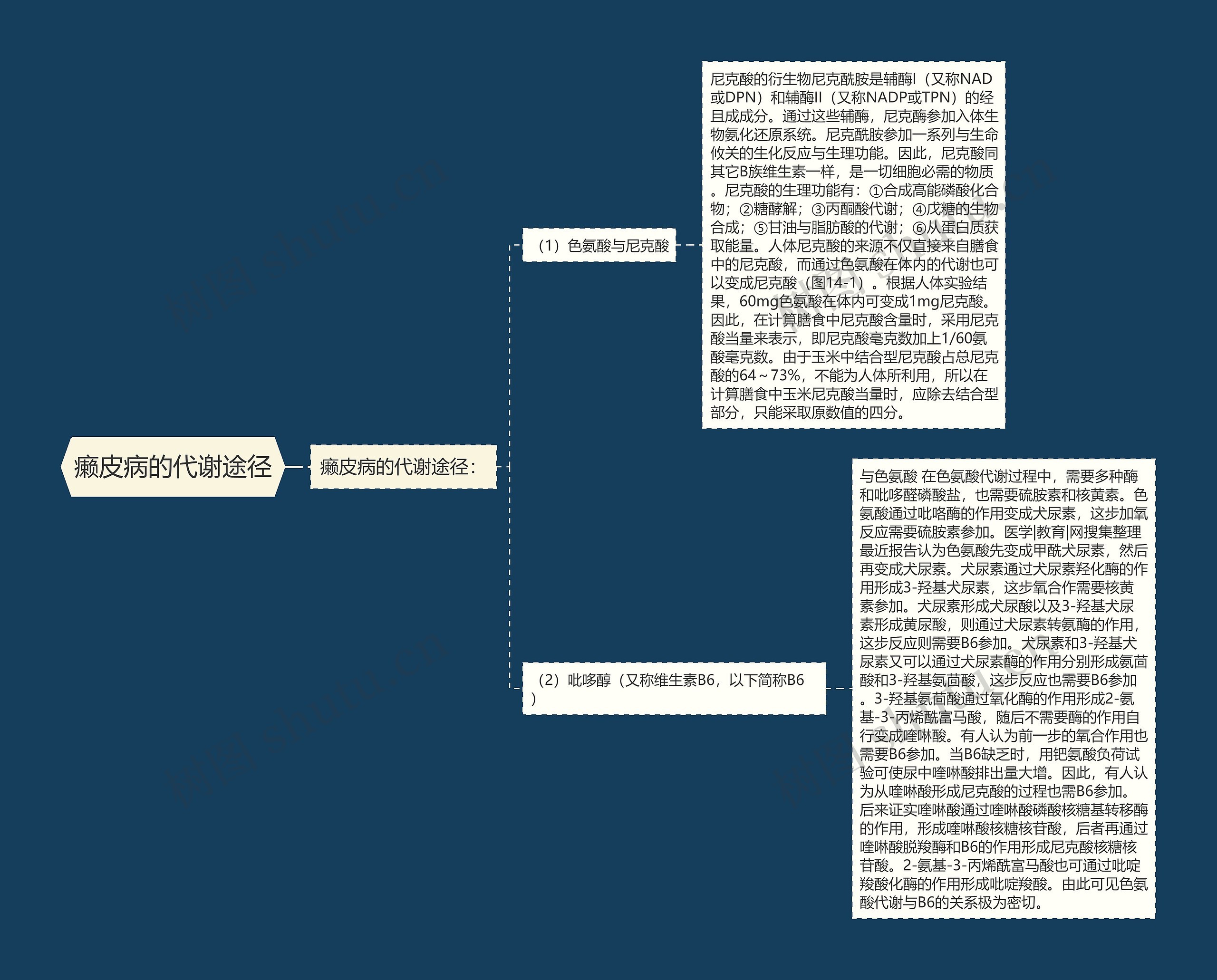 癞皮病的代谢途径思维导图