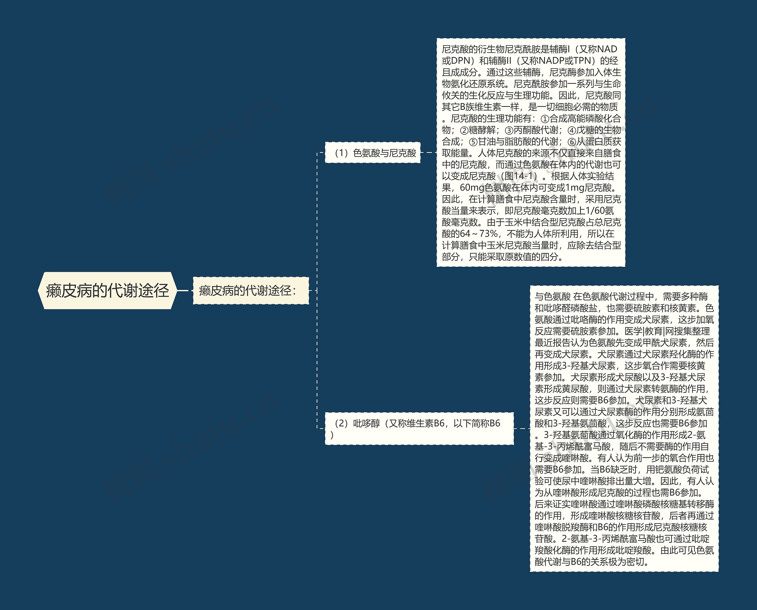 癞皮病的代谢途径 癞皮病的代谢途径