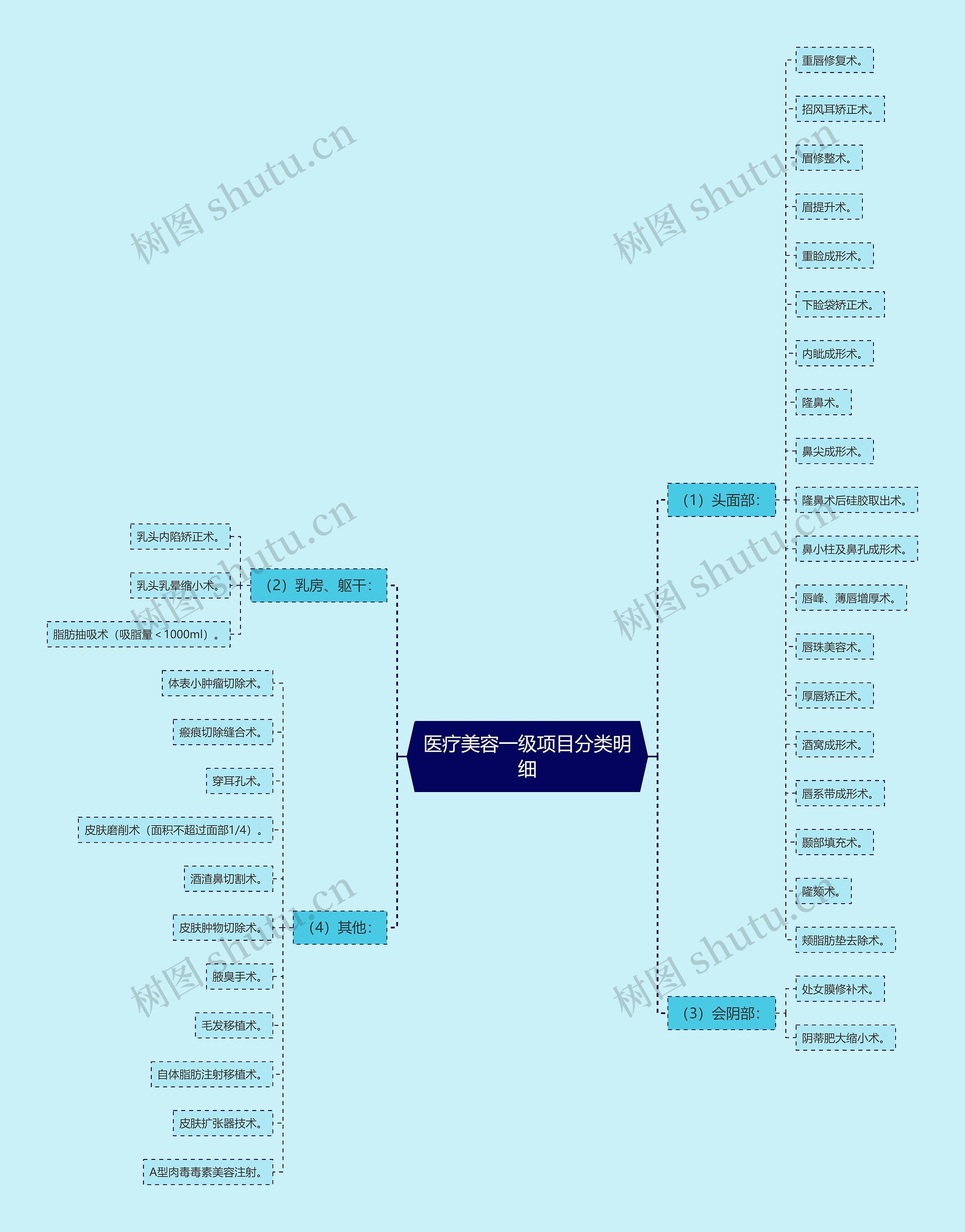 医疗美容一级项目分类明细