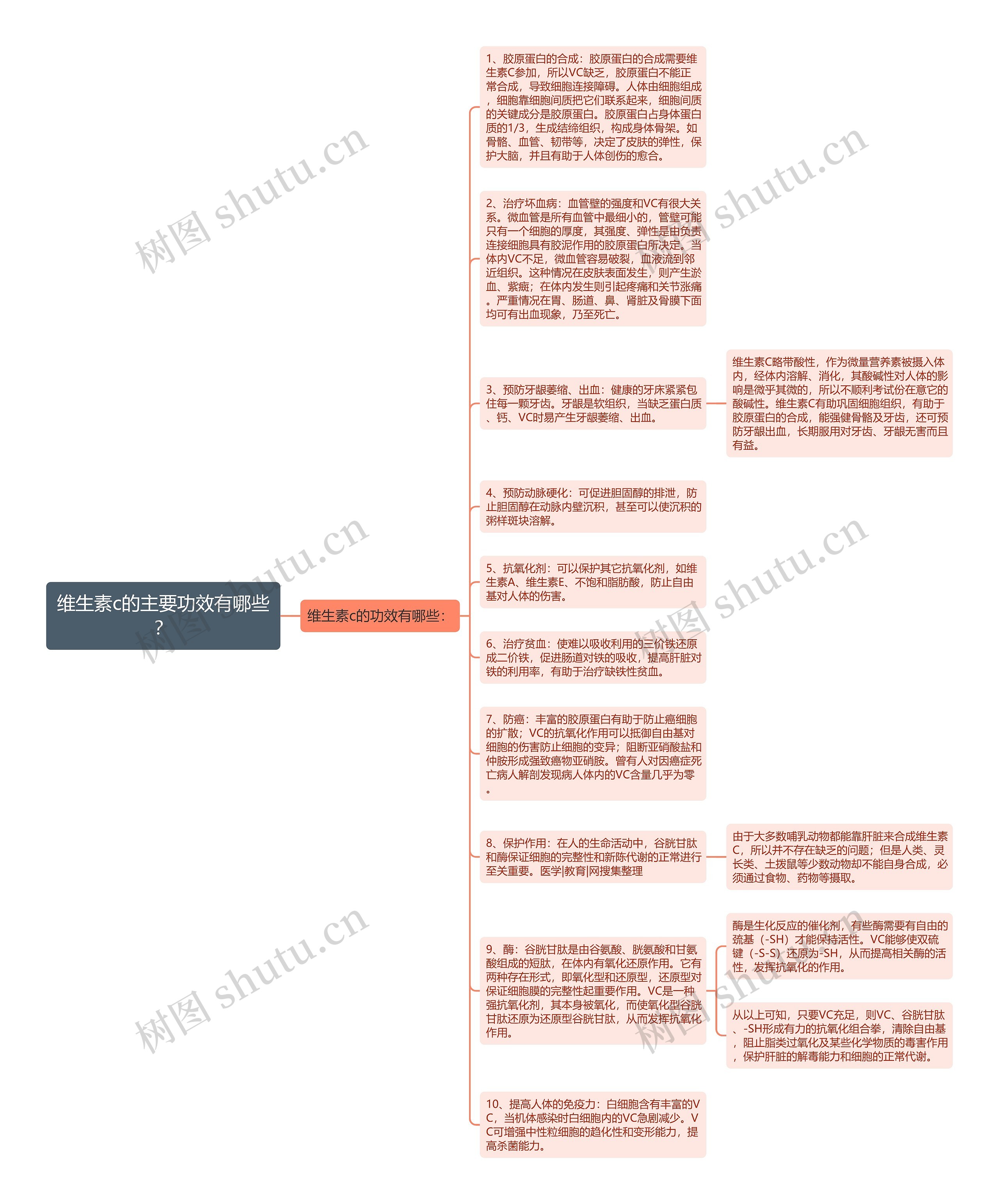维生素c的主要功效有哪些？思维导图