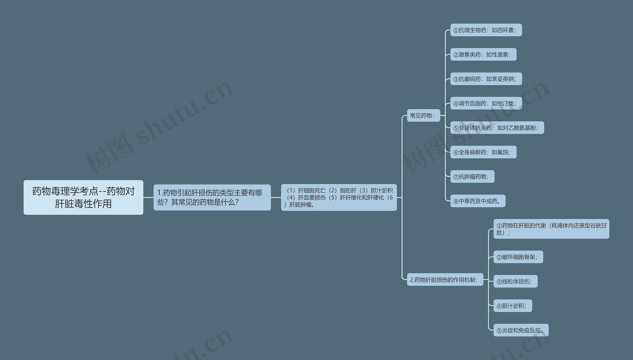 药物毒理学考点--药物对肝脏毒性作用思维导图