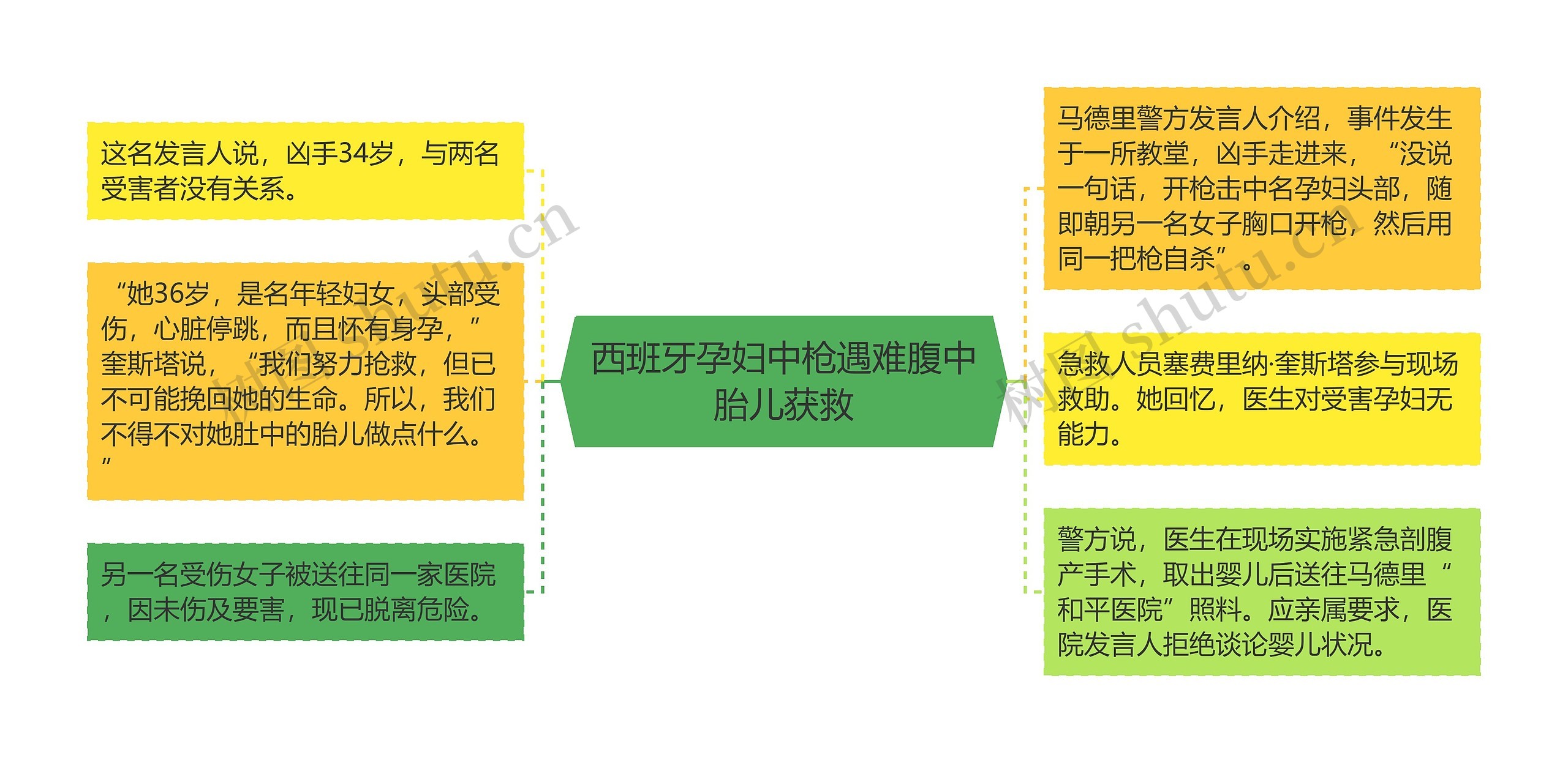 西班牙孕妇中枪遇难腹中胎儿获救思维导图