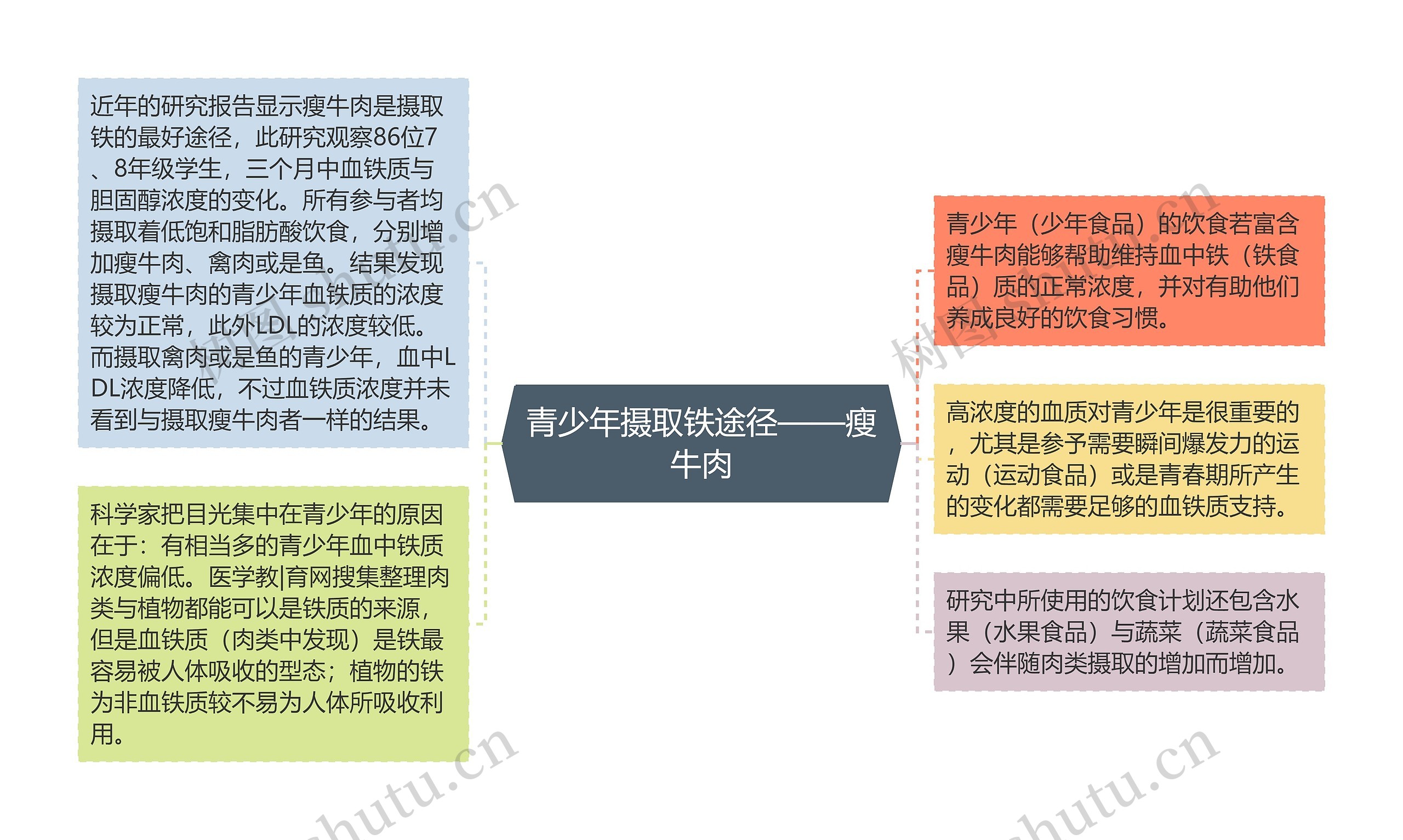 青少年摄取铁途径——瘦牛肉