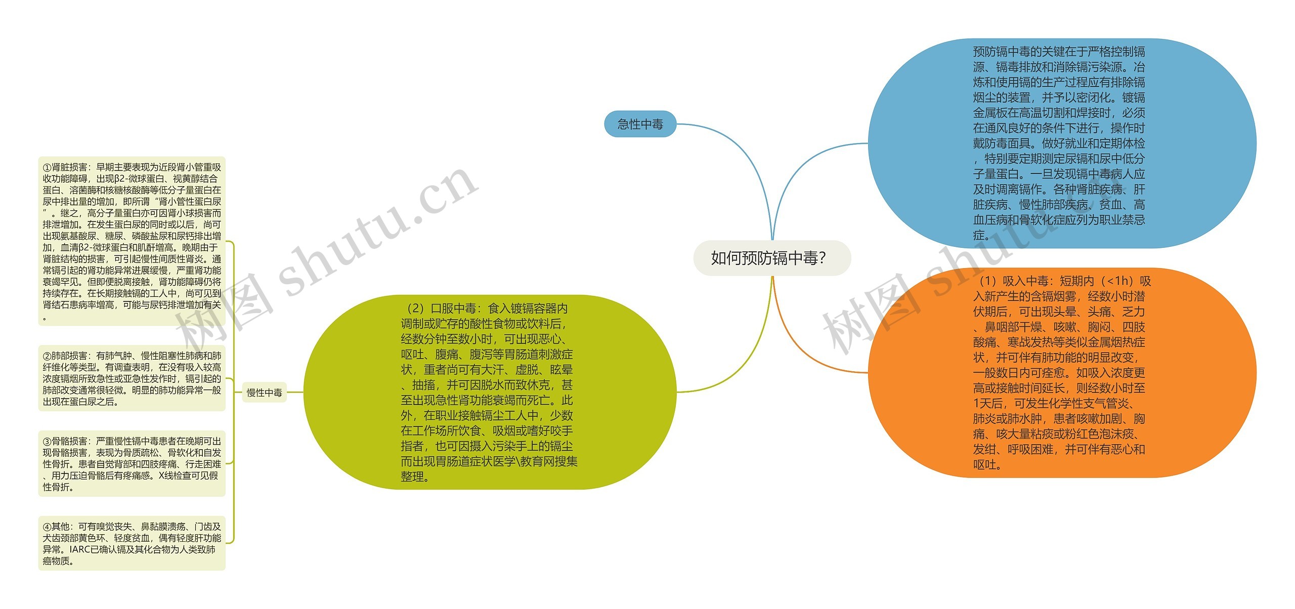 如何预防镉中毒？思维导图