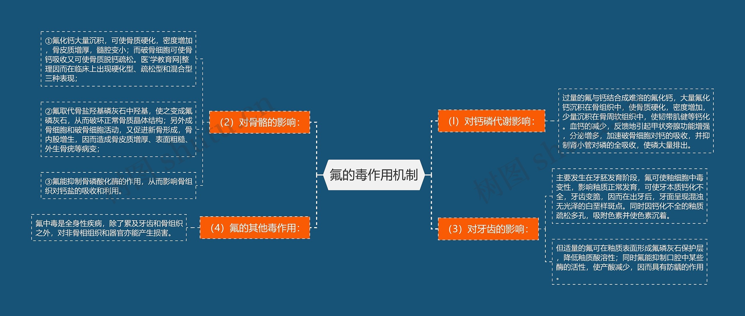 氟的毒作用机制思维导图