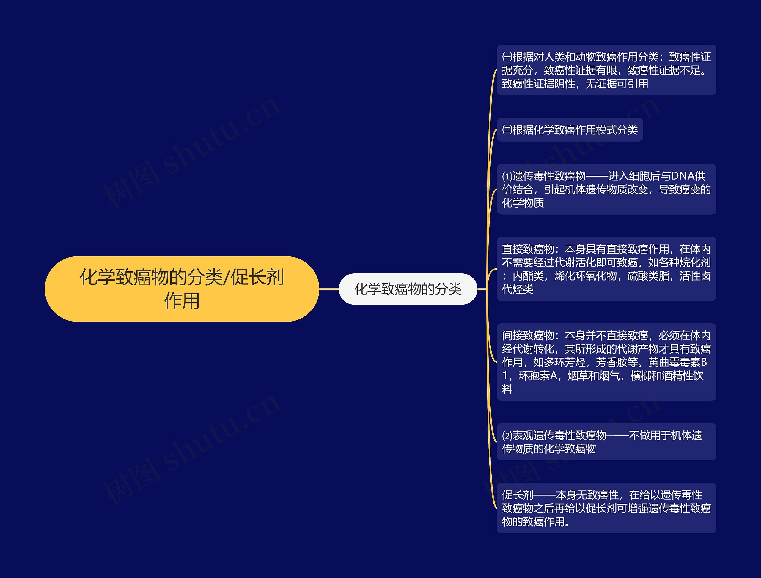 化学致癌物的分类/促长剂作用思维导图