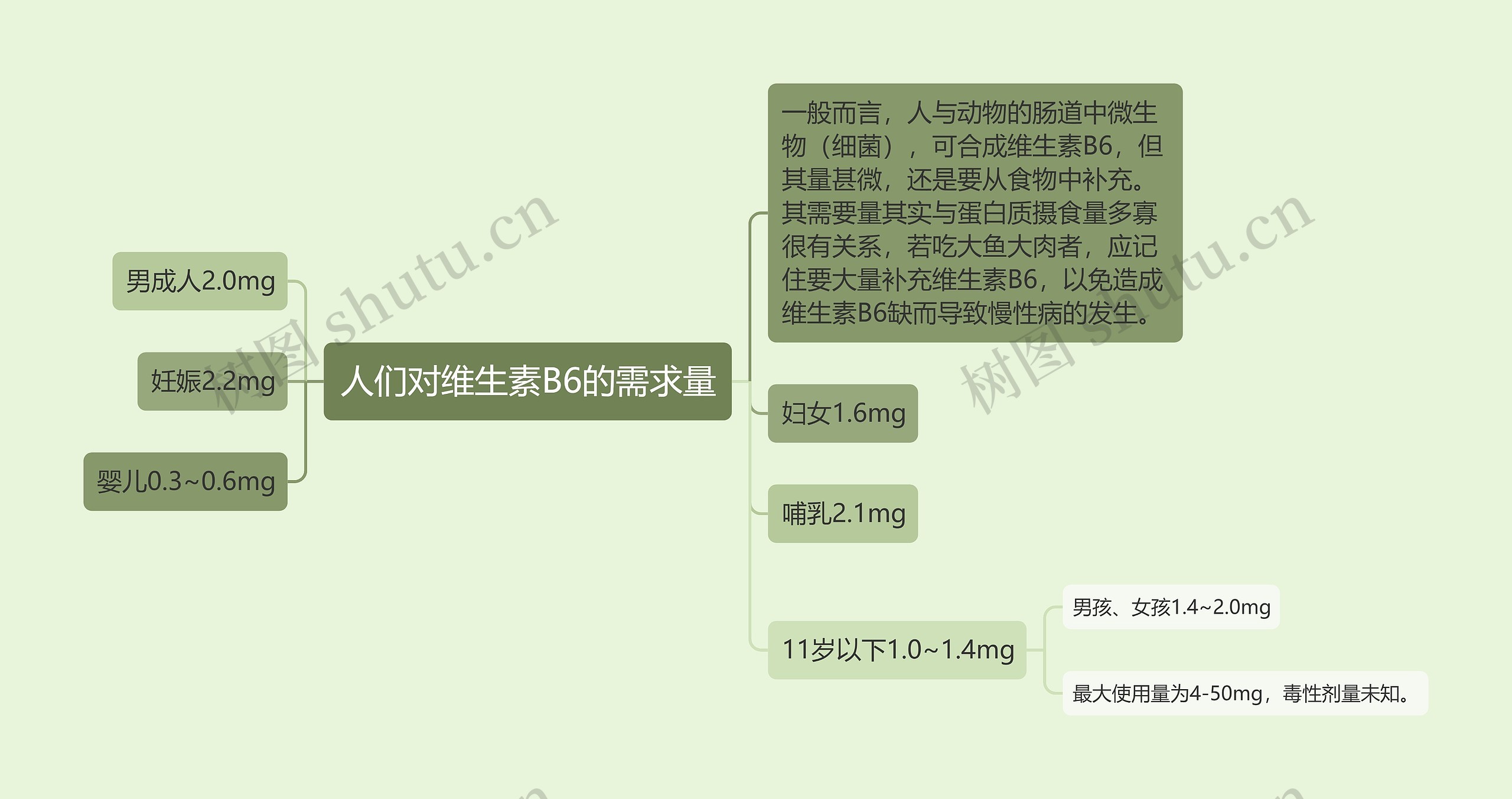 人们对维生素B6的需求量