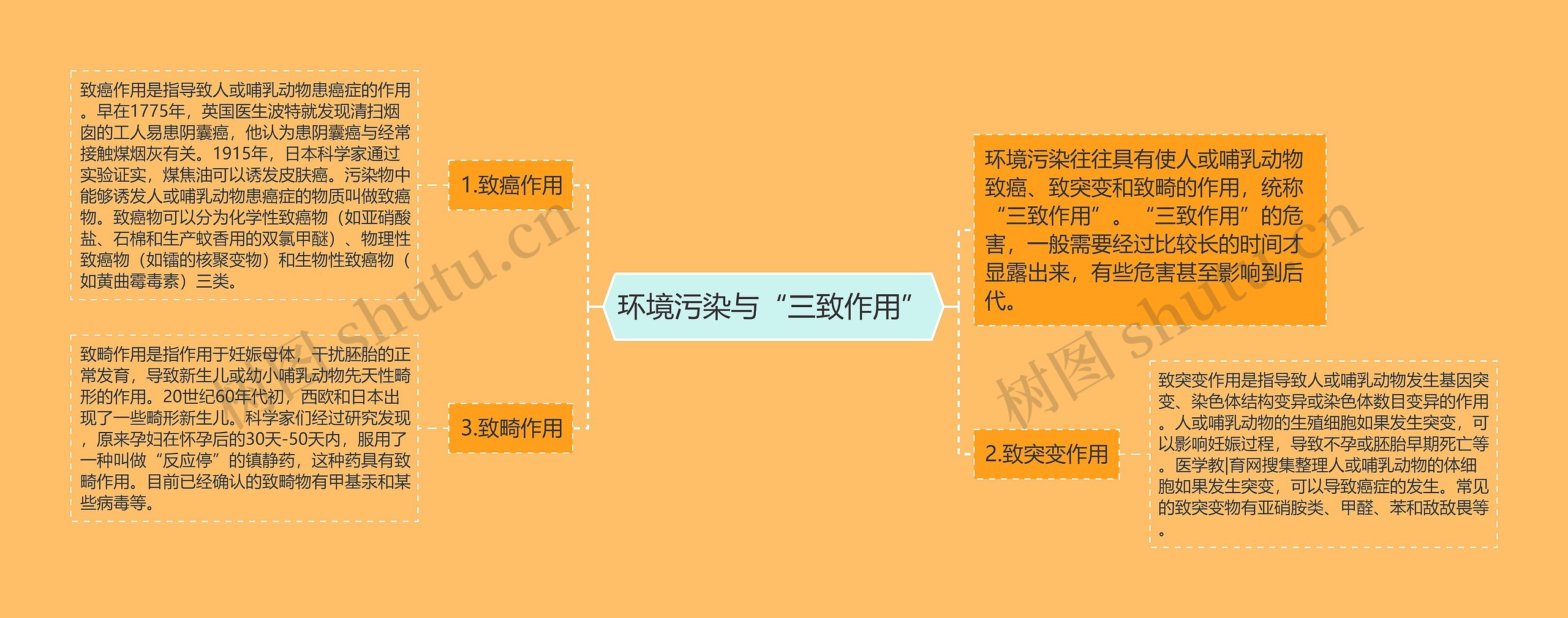 环境污染与“三致作用” 环境污染与“三致作用”