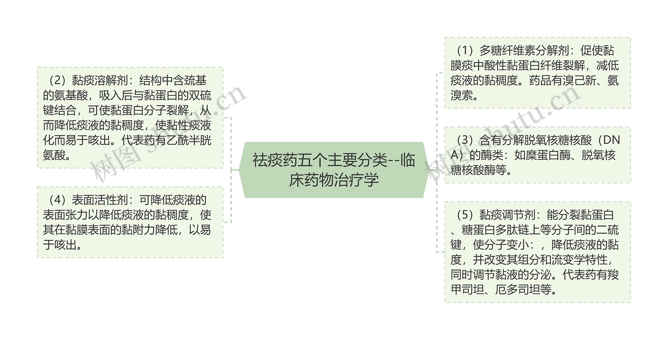 祛痰药五个主要分类--临床药物治疗学思维导图