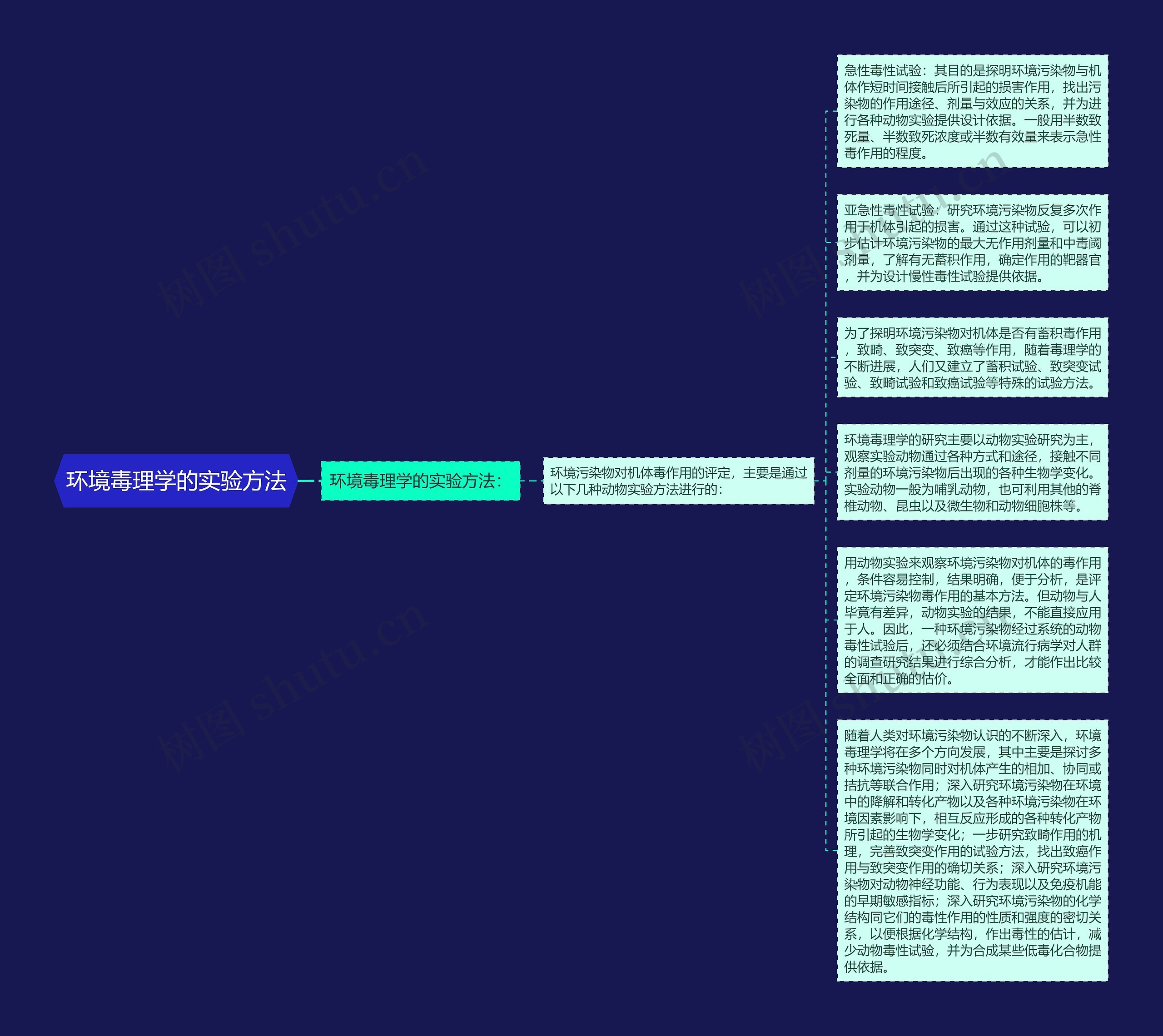 环境毒理学的实验方法思维导图