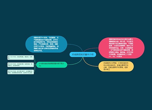 抗组胺药知识基本介绍