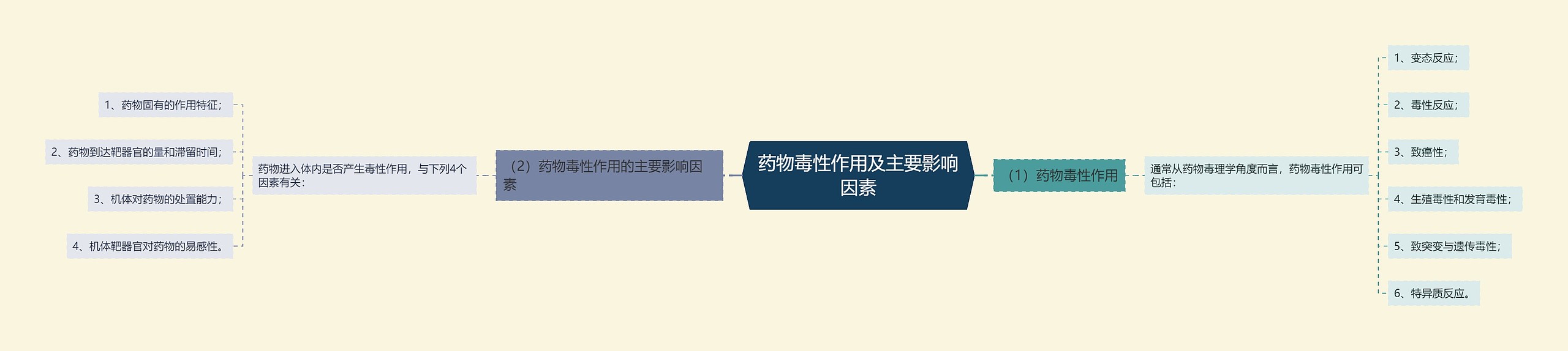 药物毒性作用及主要影响因素 药物毒性作用及主要影响因素