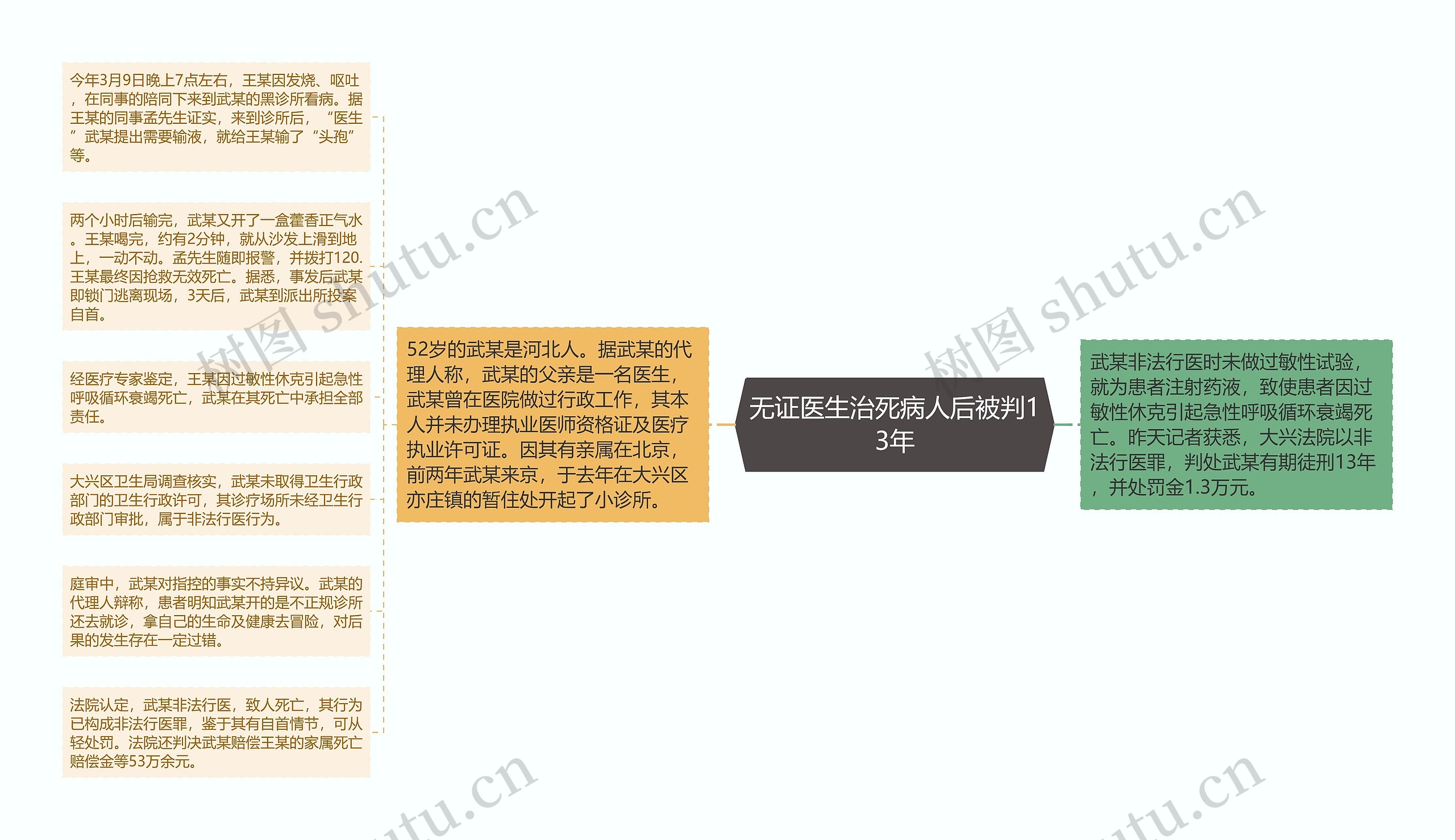 无证医生治死病人后被判13年思维导图