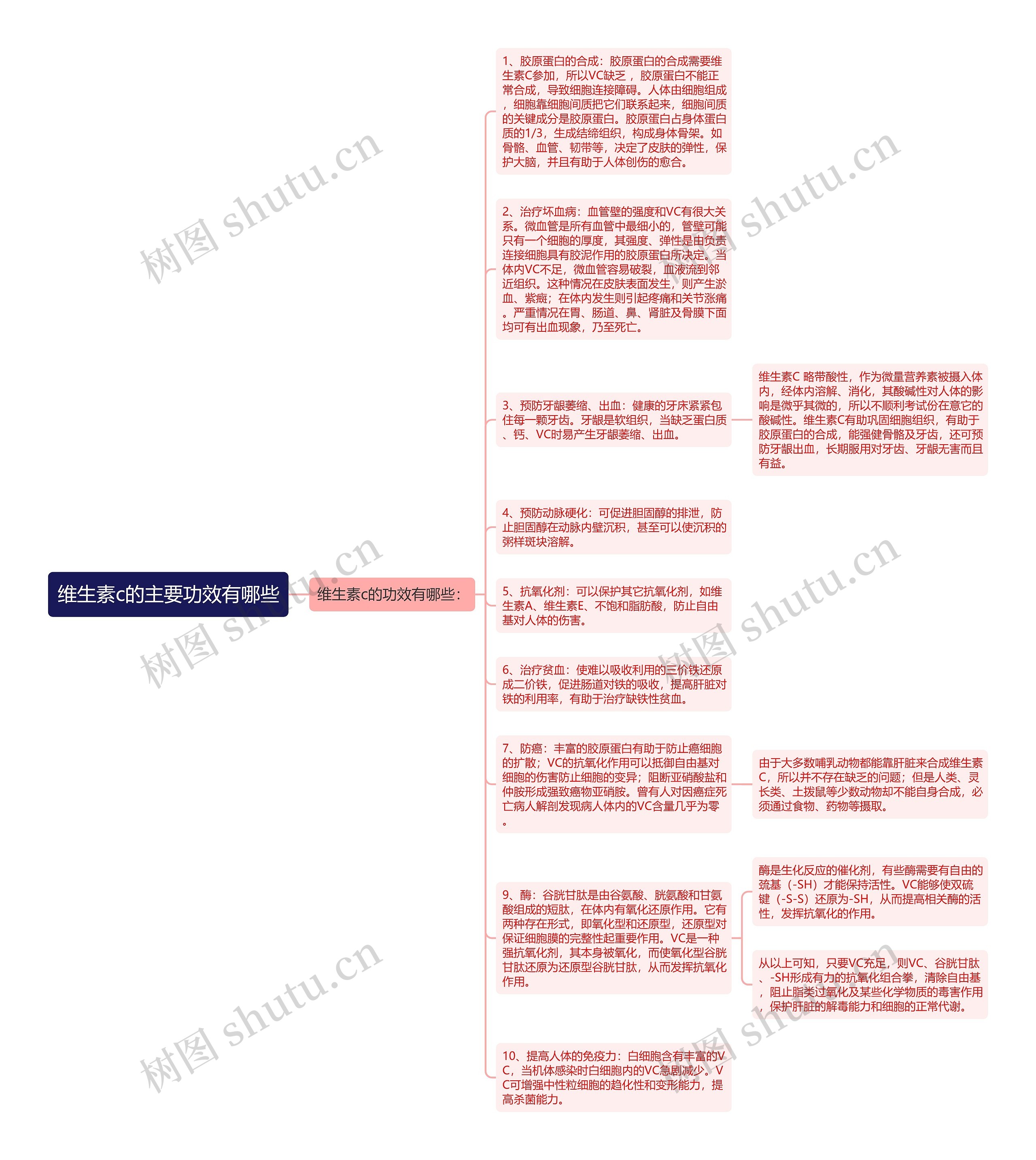 维生素c的主要功效有哪些思维导图