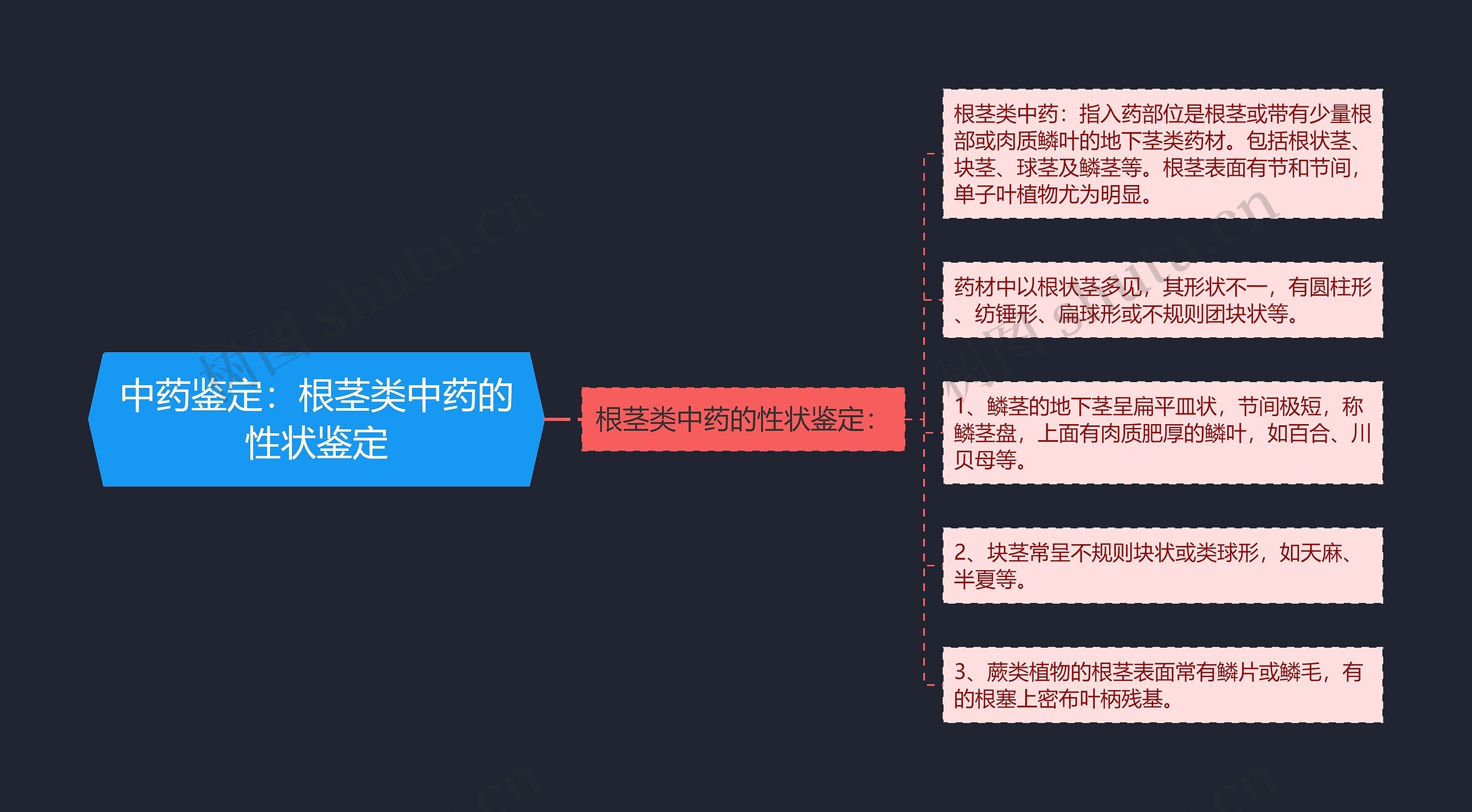 中药鉴定:根茎类中药的性状鉴定 中药鉴定:根茎类中药的性状鉴定
